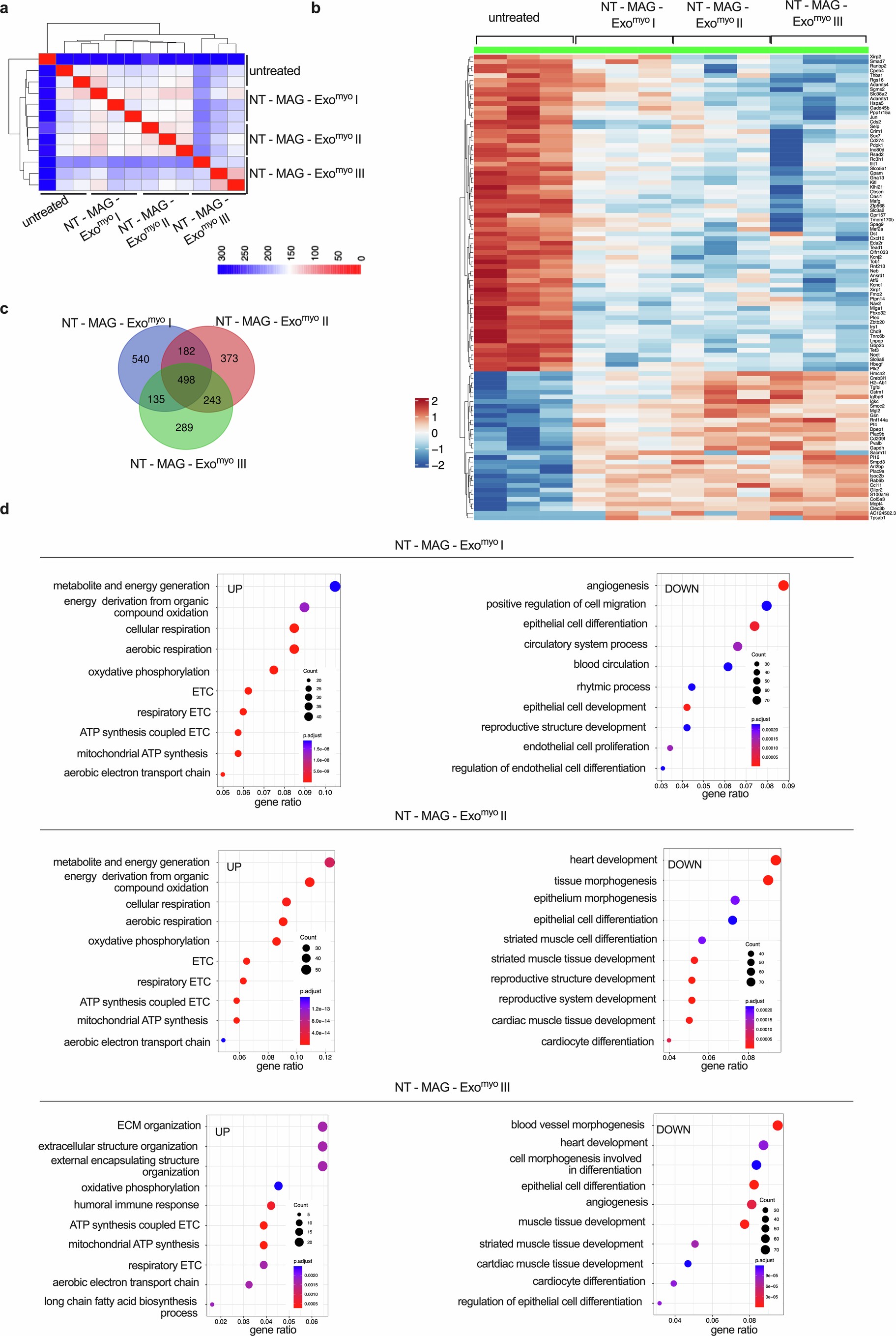 Extended Data Fig. 3: Transcriptomic profiling of muscle fibres isolated from mdx mice treated with NT-MAG-Exomyo III.