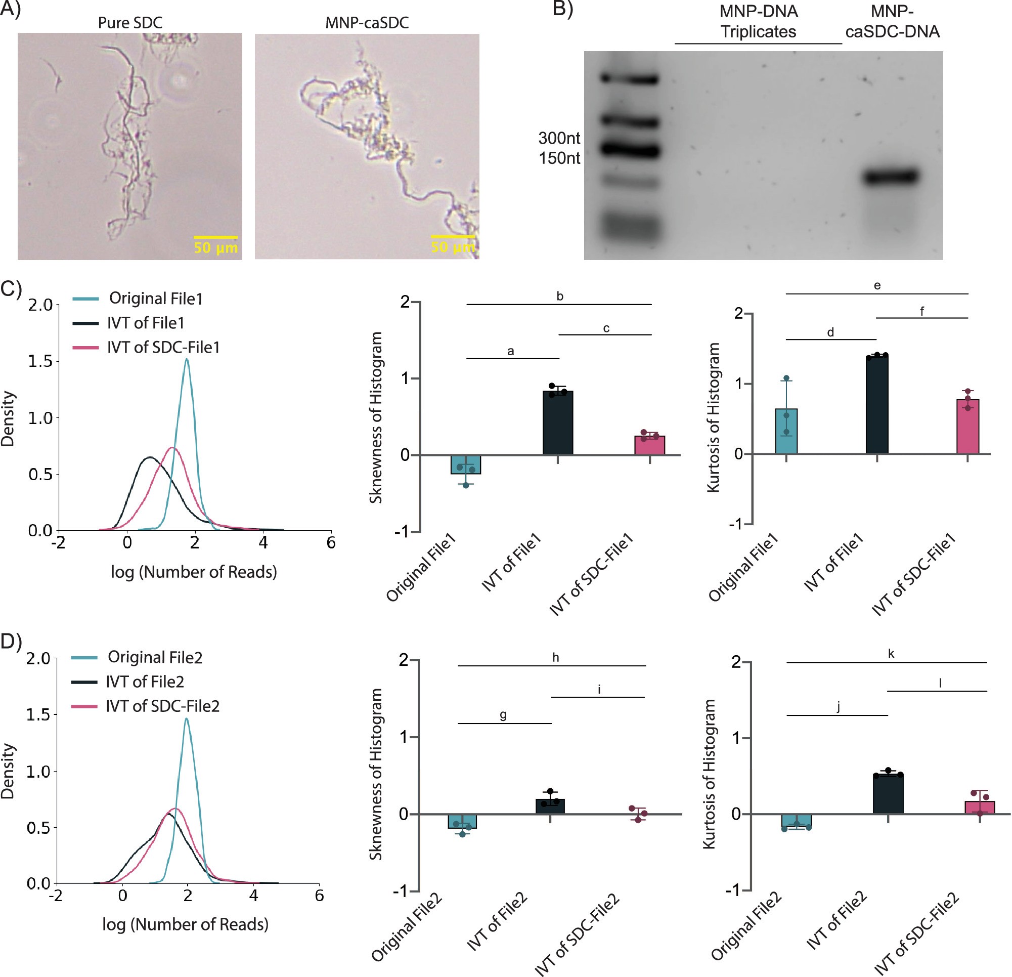 Extended Data Fig. 1: Adsorbing DNA onto SDC can lead to stable RNA generation.