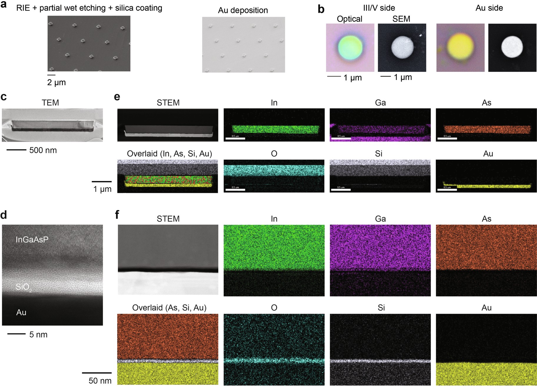 Extended Data Fig. 8