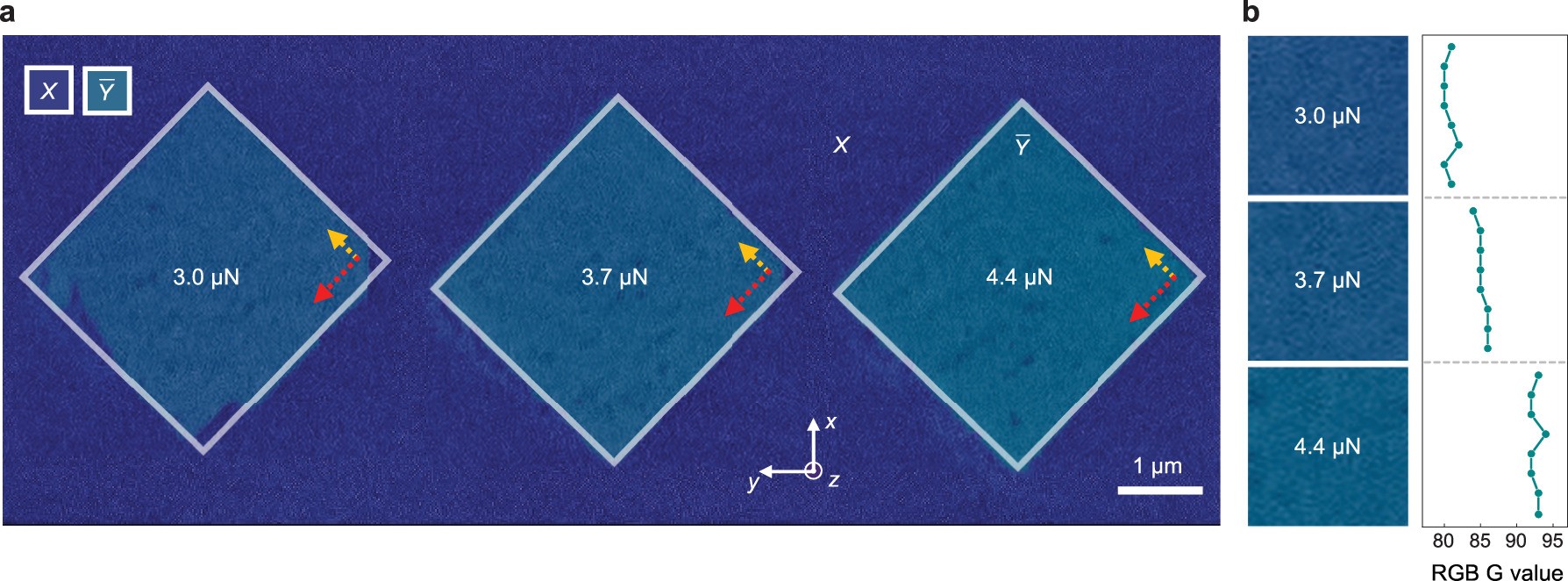Extended Data Fig. 9: Partial ferroelastic writing along the depth direction examined by ECC imaging.