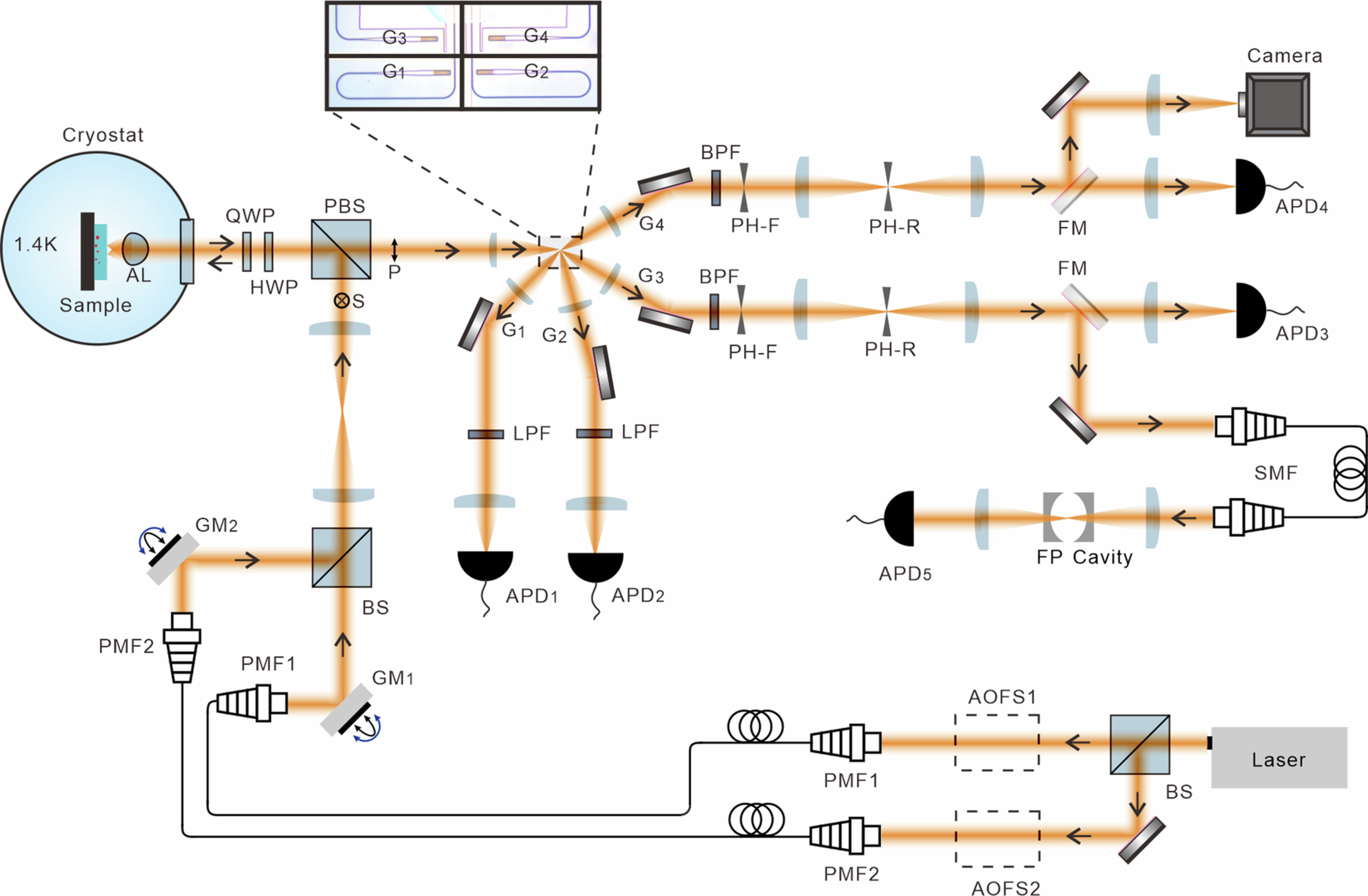 Extended Data Fig. 1: Schematic illustration of the full experimental set-up.