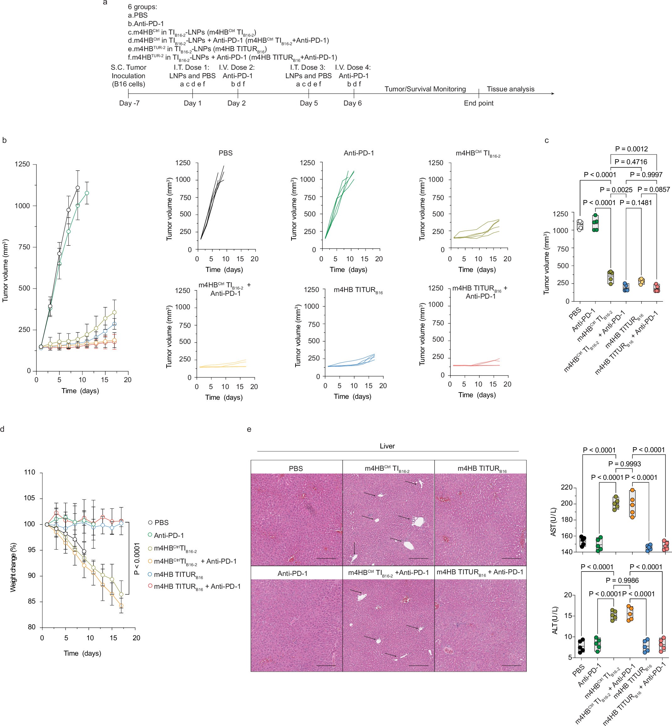 Extended Data Fig. 1: Tumour customized UTRs (TURs) improves therapeutic outcomes and of 4HB mRNA in B16 tumour models.