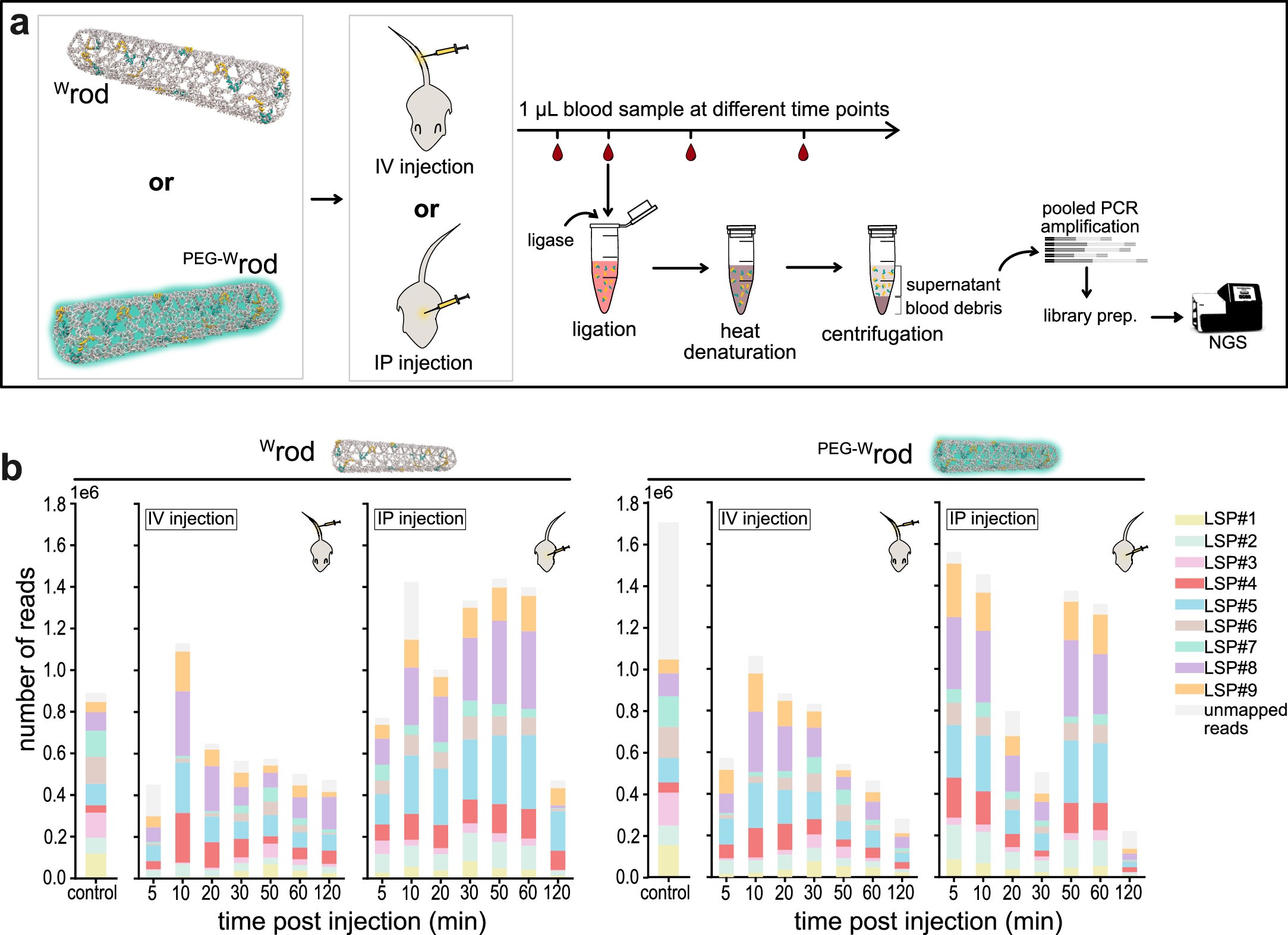 Extended Data Fig. 2: Next generation sequencing of LSP.