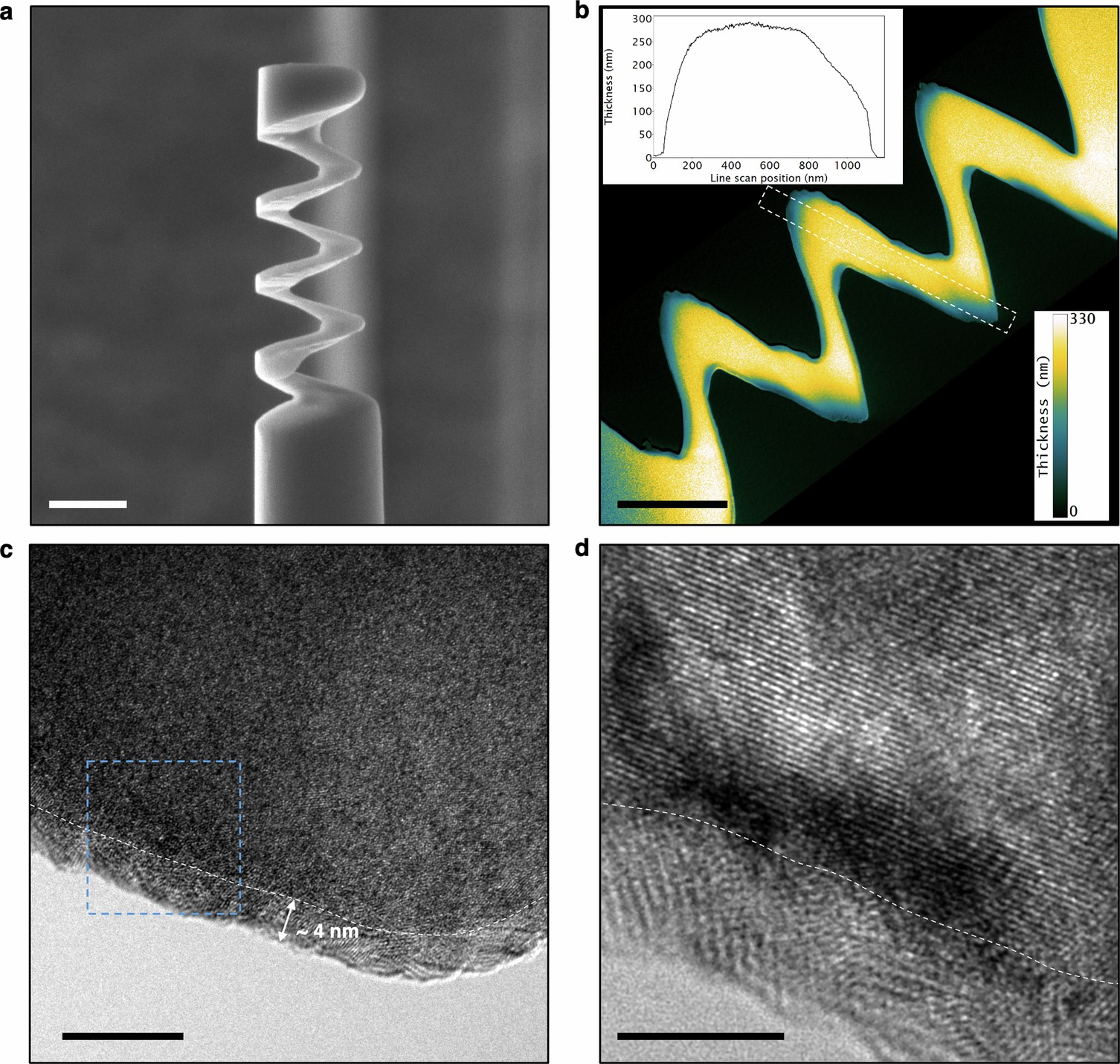 Extended Data Fig. 3: Transmission electron microscopy analysis.