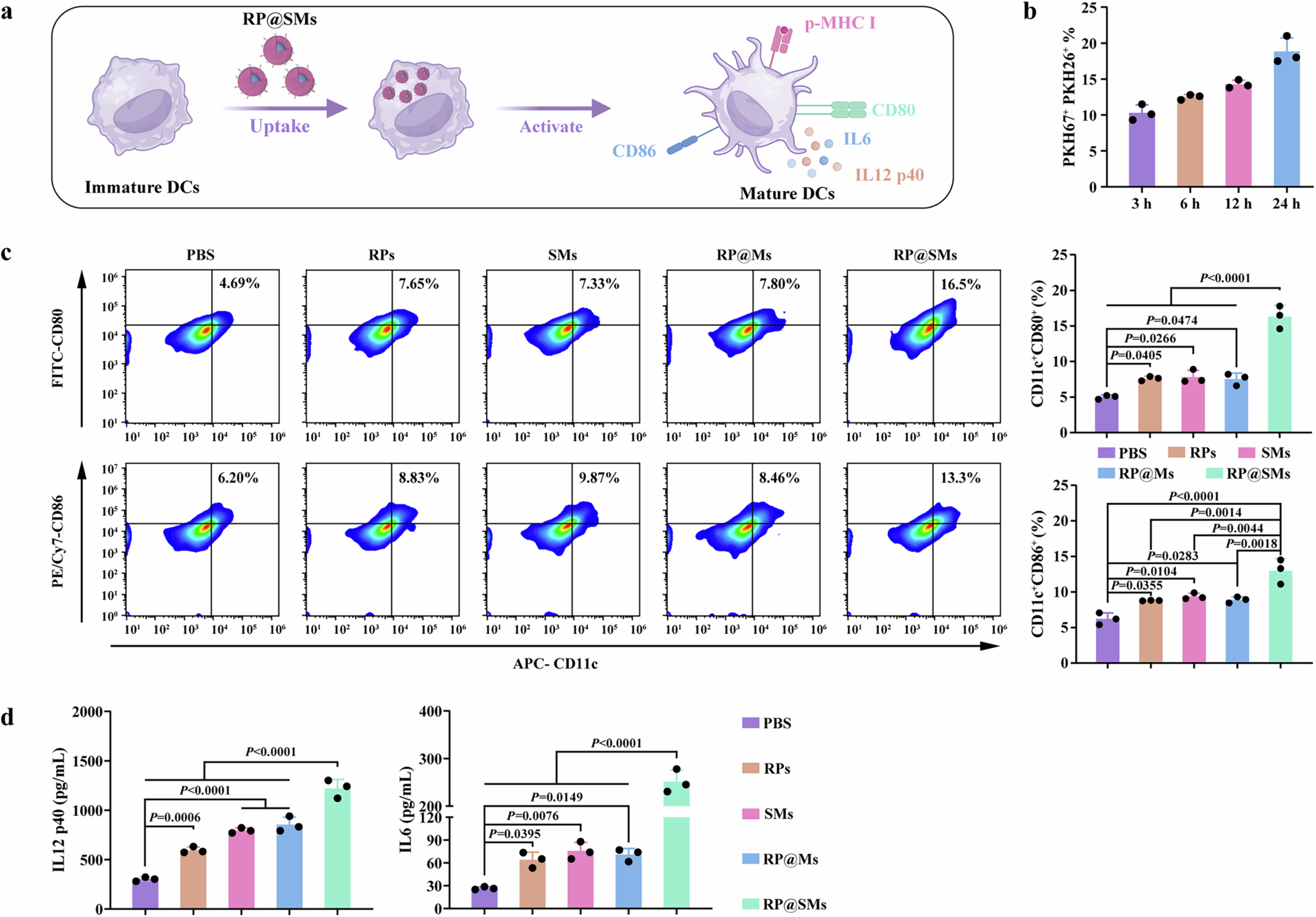 Extended Data Fig. 2: Activation of DCs by RP@SMs.