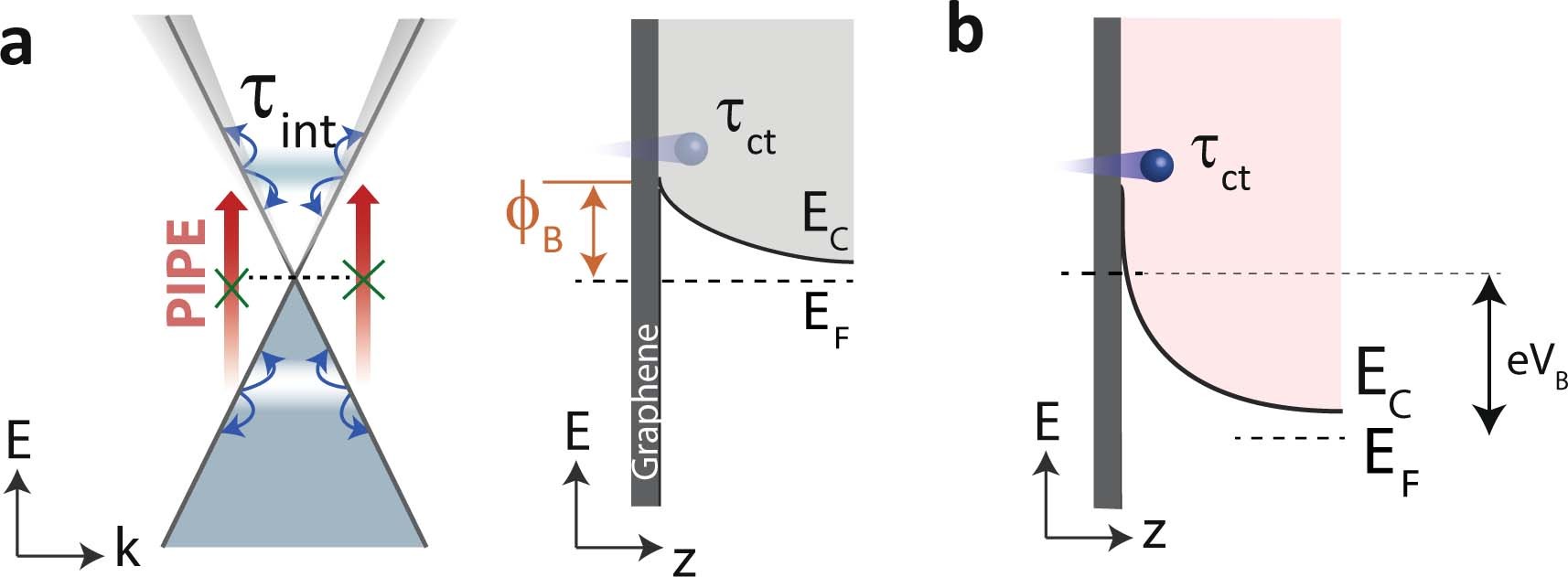 Extended Data Fig. 1