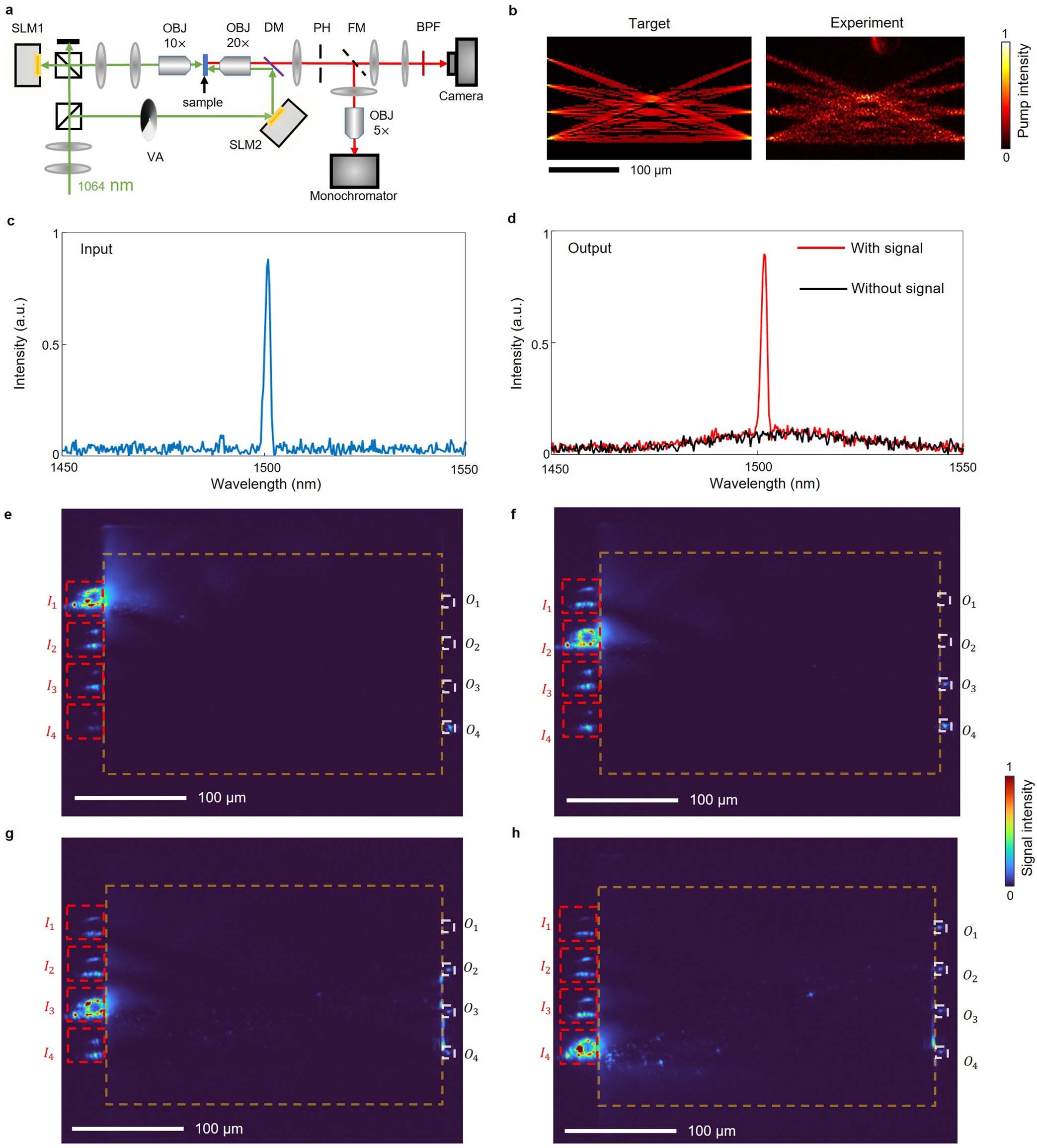Extended Data Fig. 2