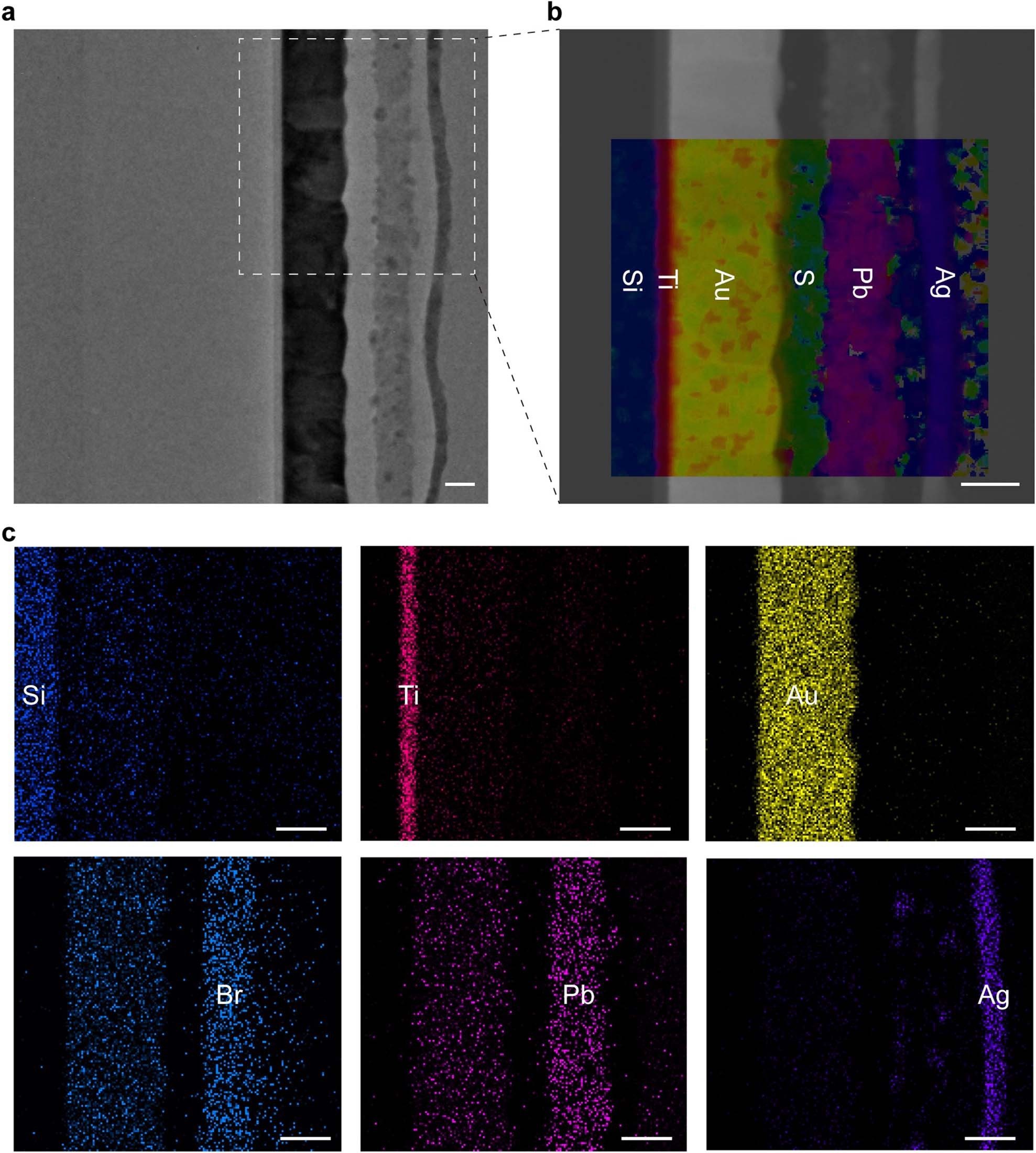 Extended Data Fig. 3