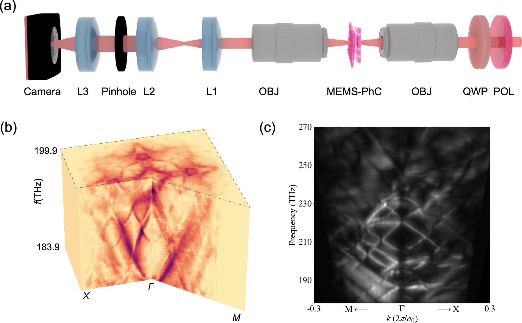 Extended Data Fig. 5