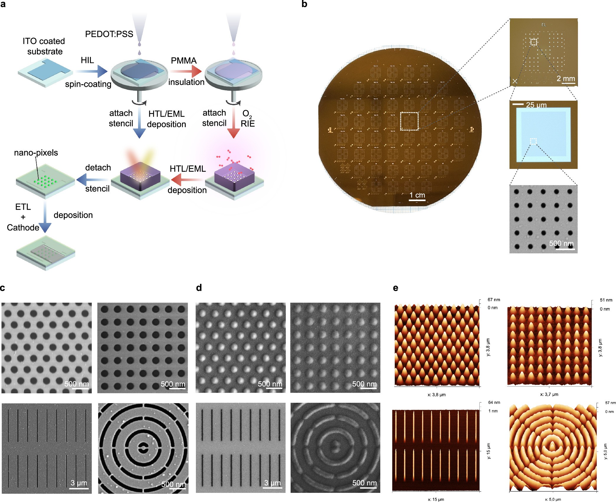 Extended Data Fig. 1