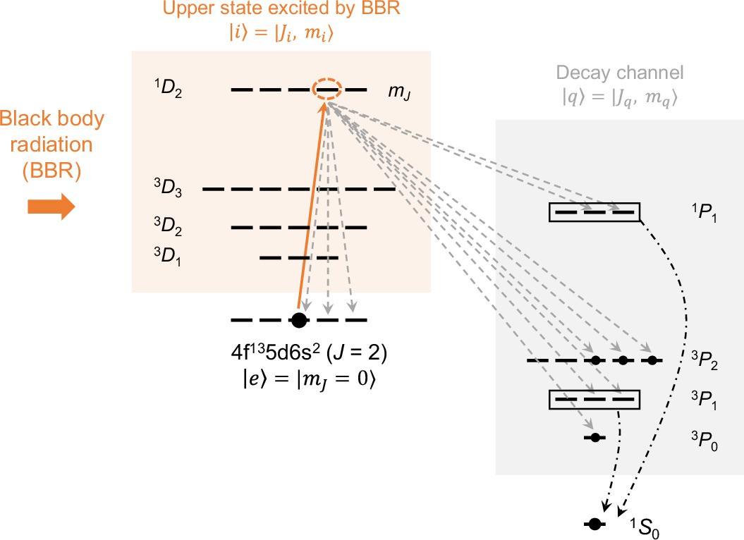 Extended Data Fig. 1: Schematic diagram of the BBR quenching of the 
                      $$\left|e\right\rangle$$
                      
                        
                          |
                        
                        e
                        >
                      
                     state.