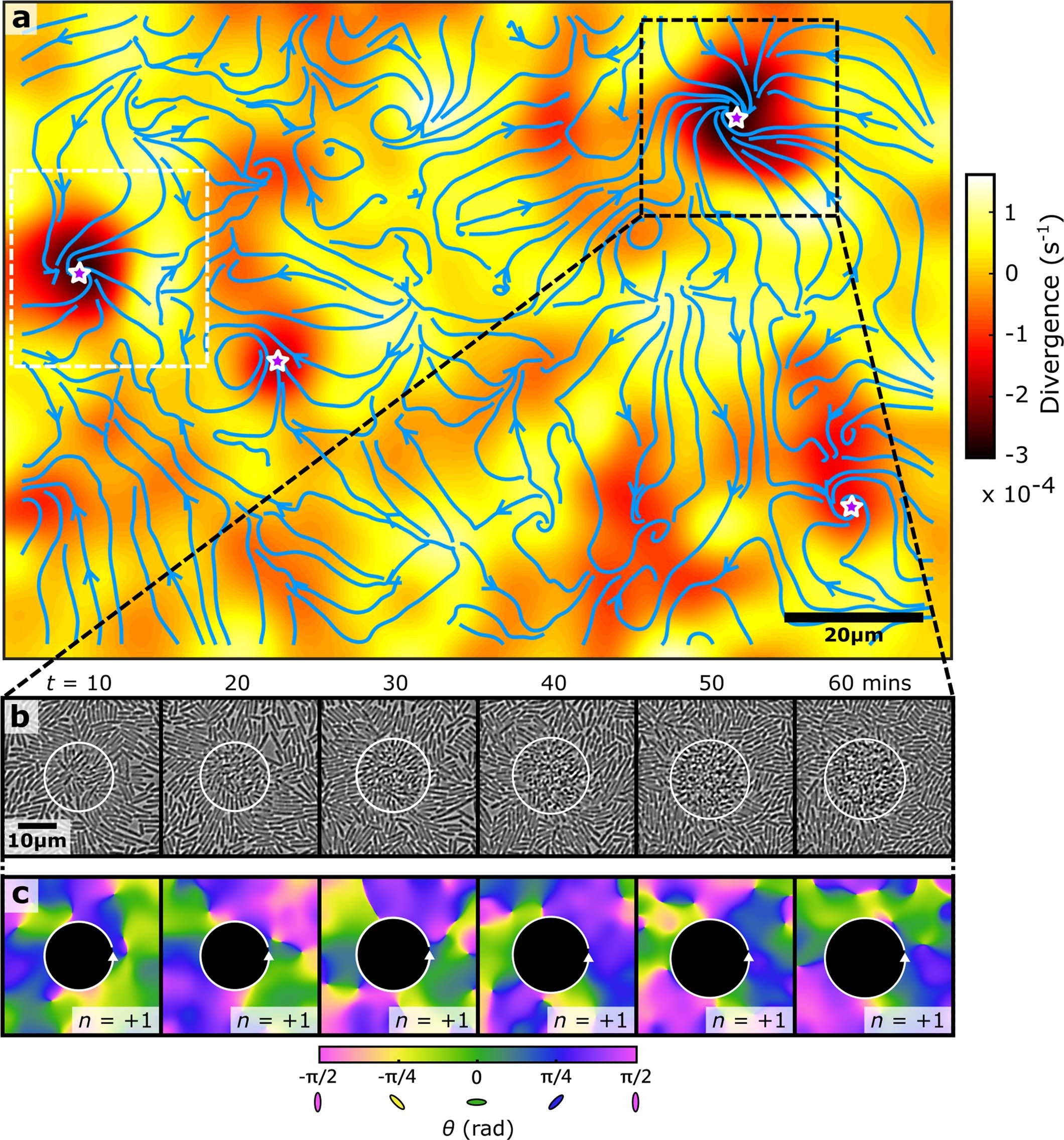 Extended Data Fig. 7
