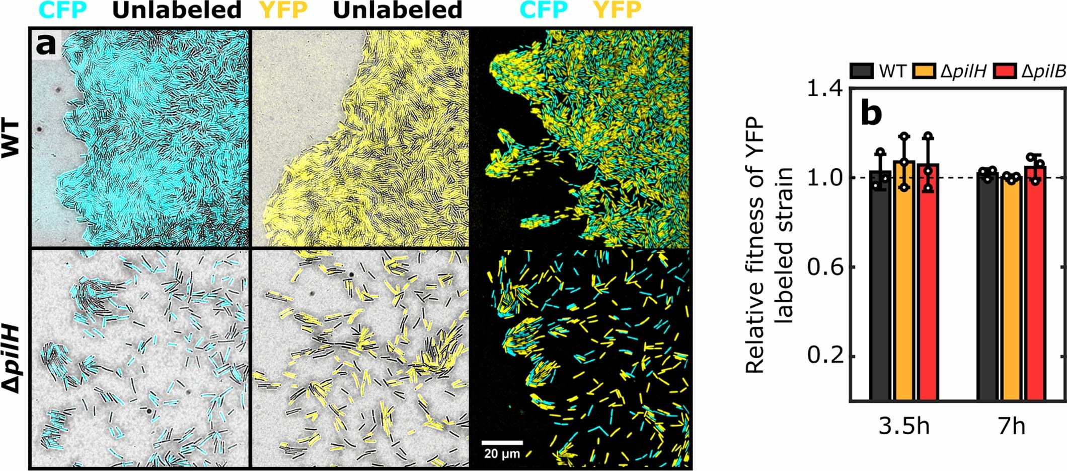 Extended Data Fig. 8