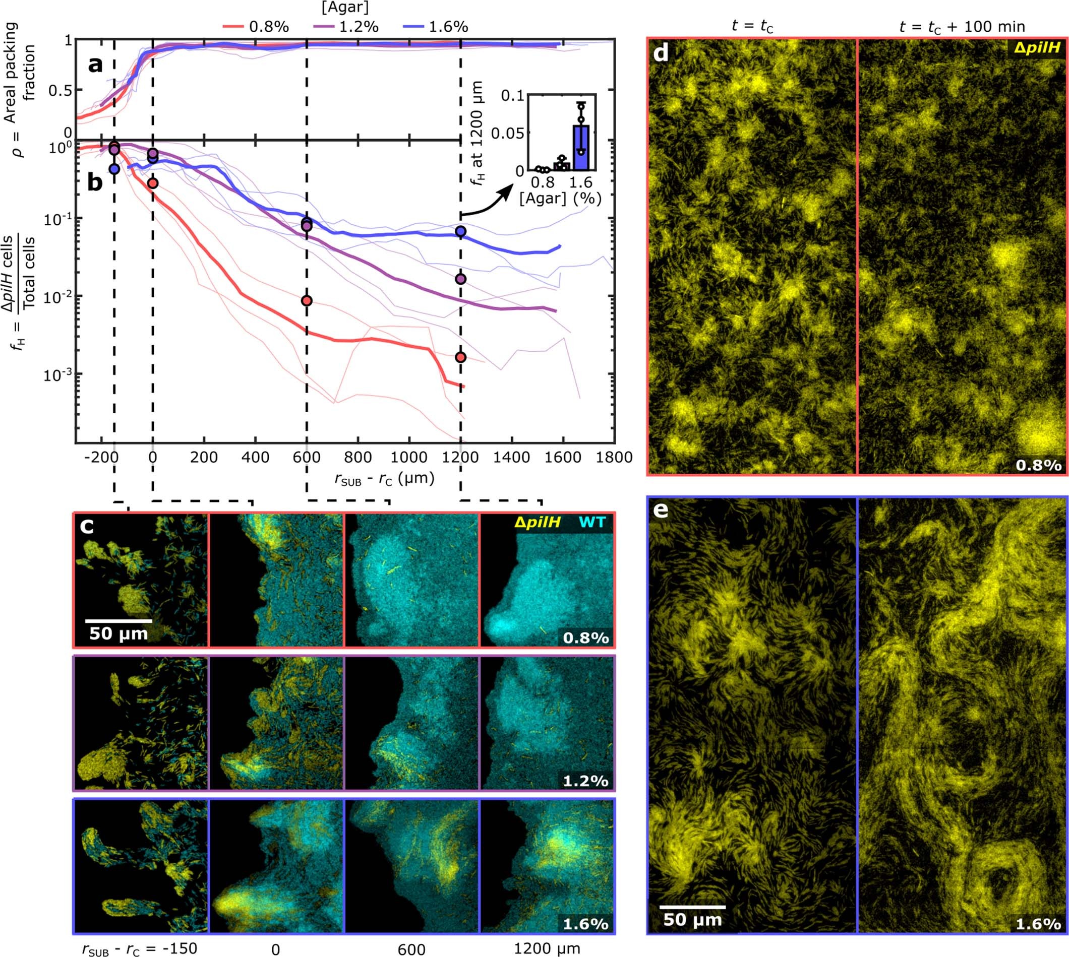 Extended Data Fig. 10