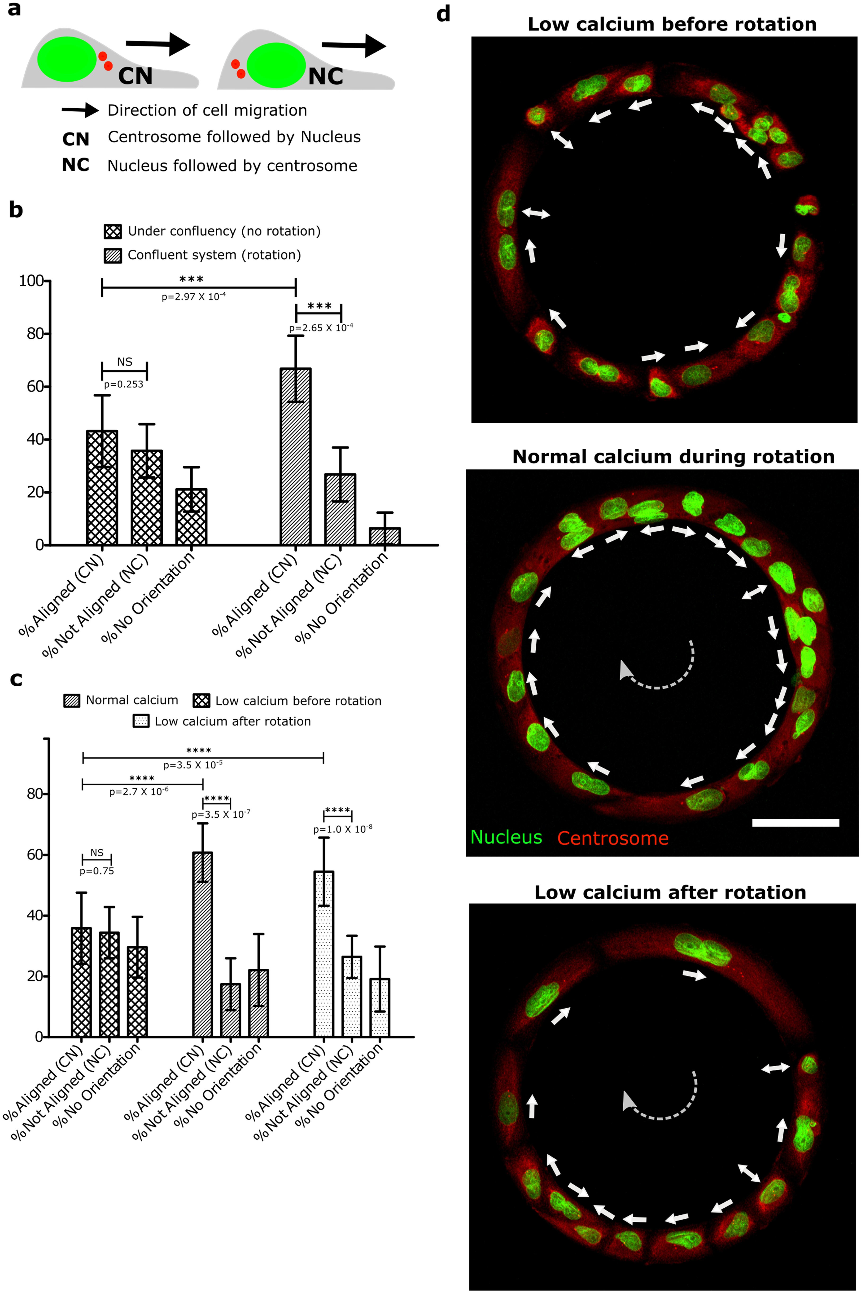 Extended Data Fig. 5