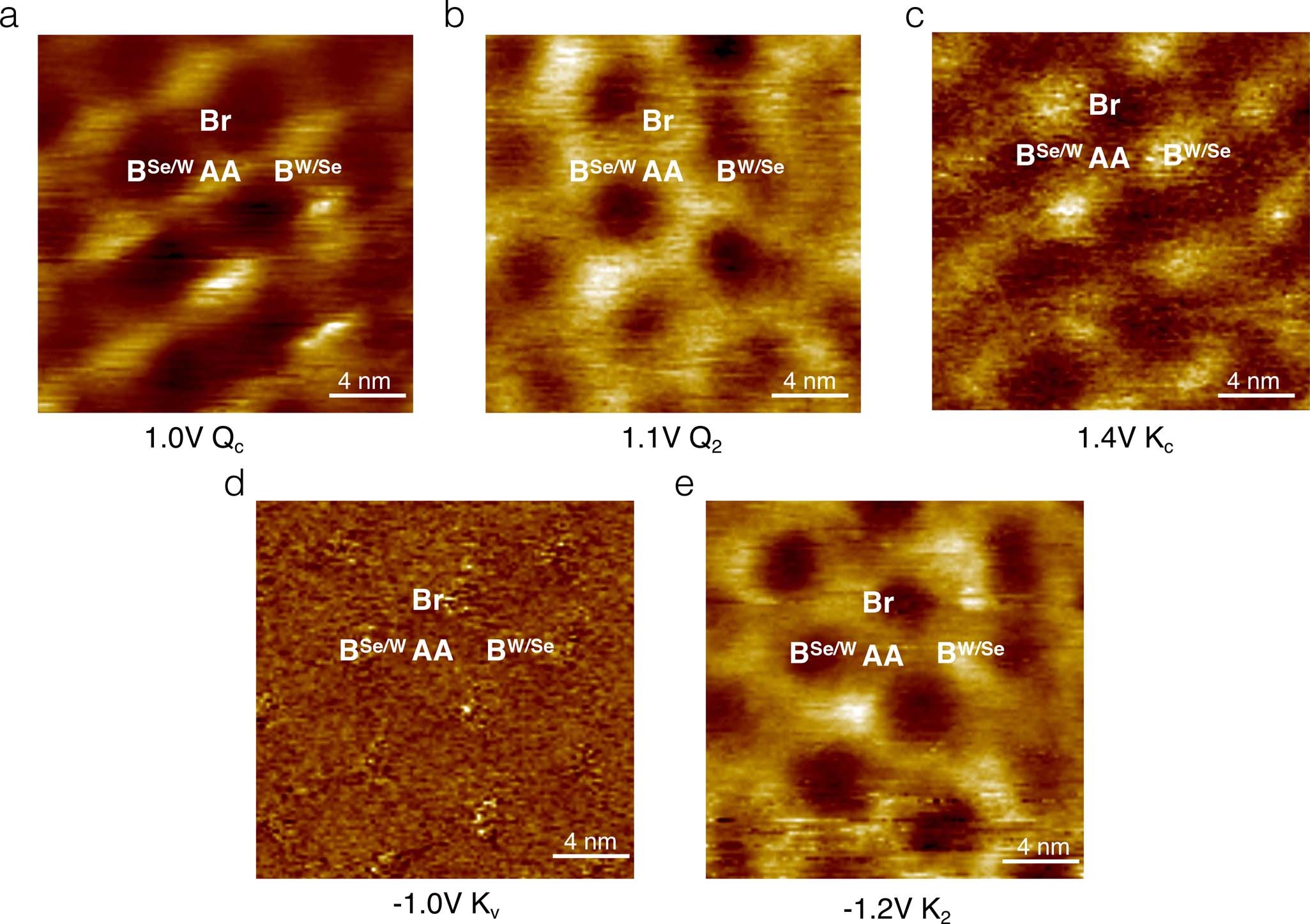 Extended Data Fig. 3: Local density of states maps at different energies for the 3° tWSe2 device.