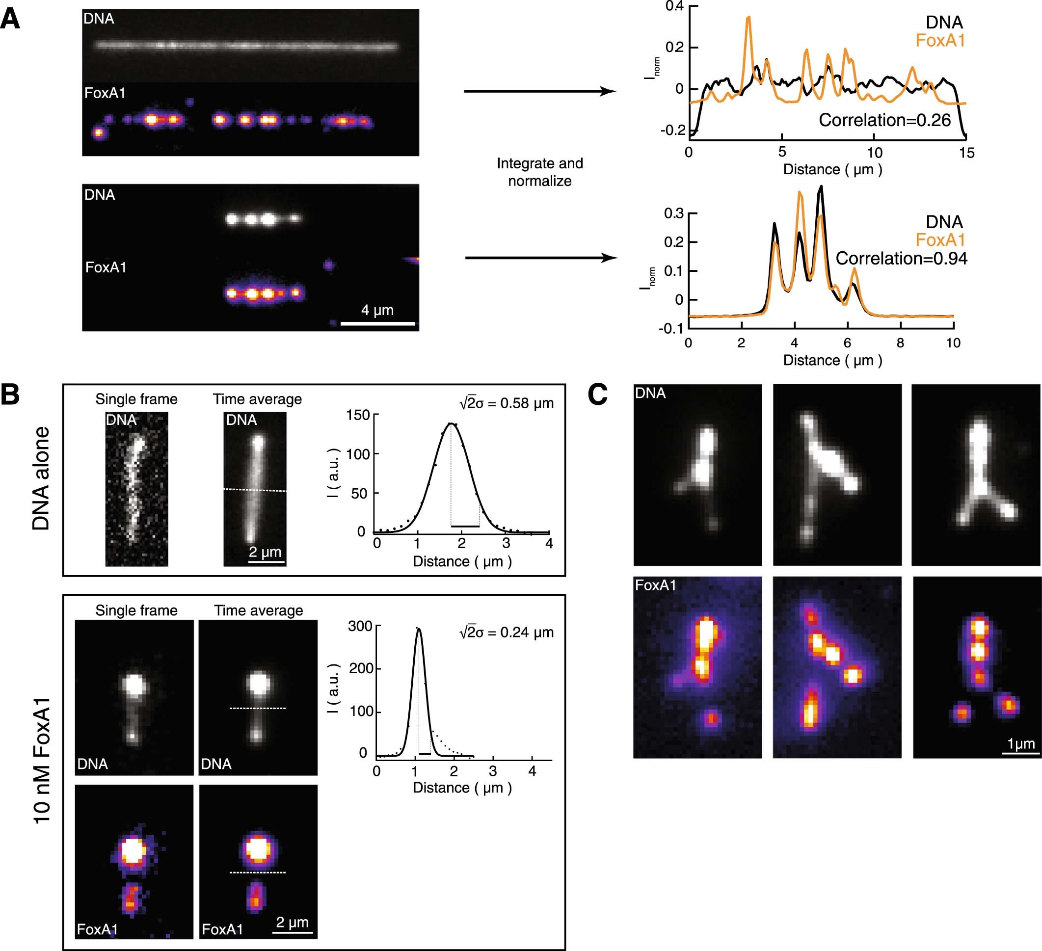 Extended Data Fig. 3