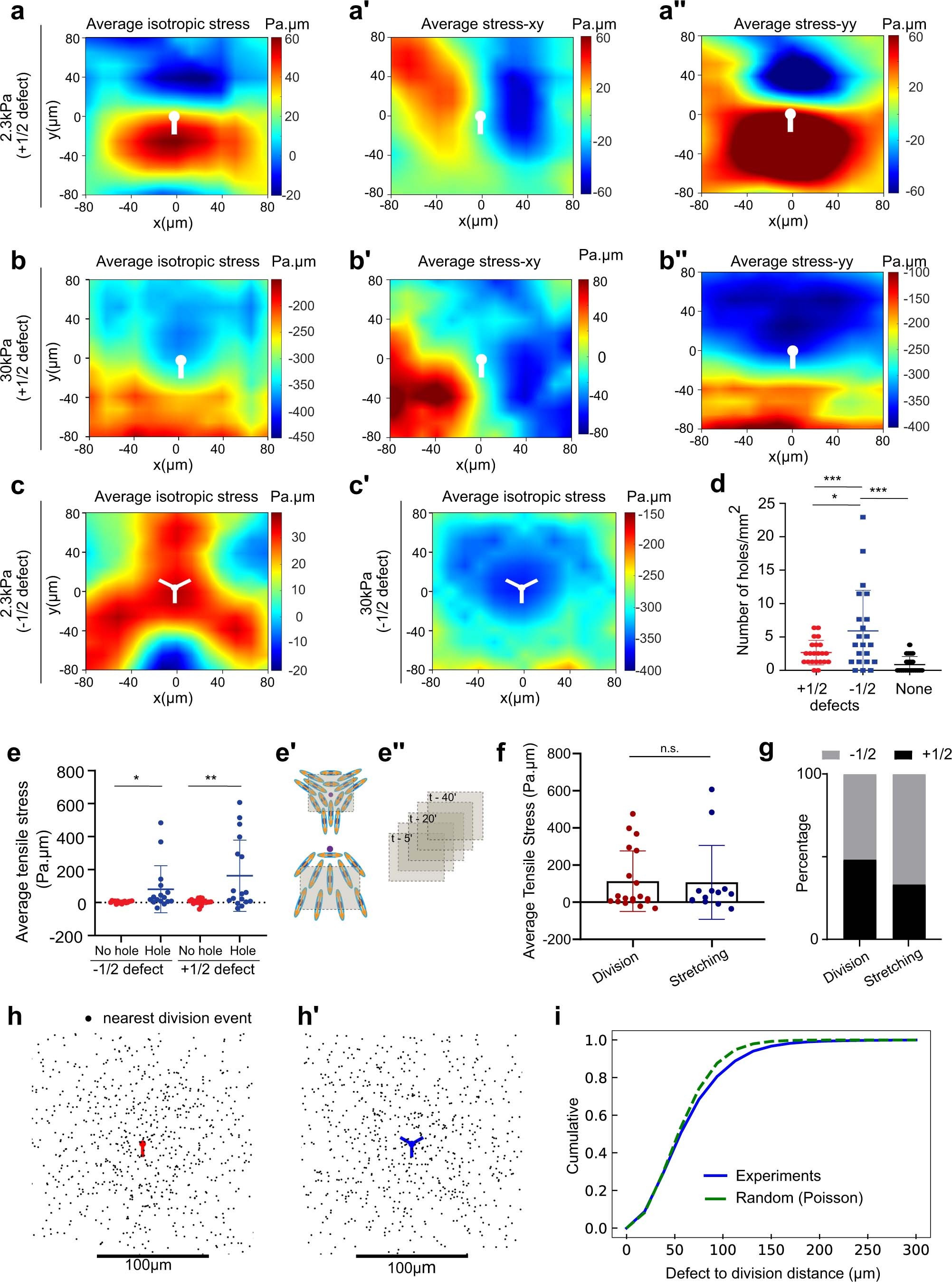 Extended Data Fig. 5