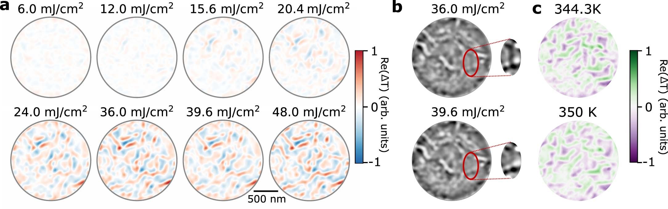Extended Data Fig. 2