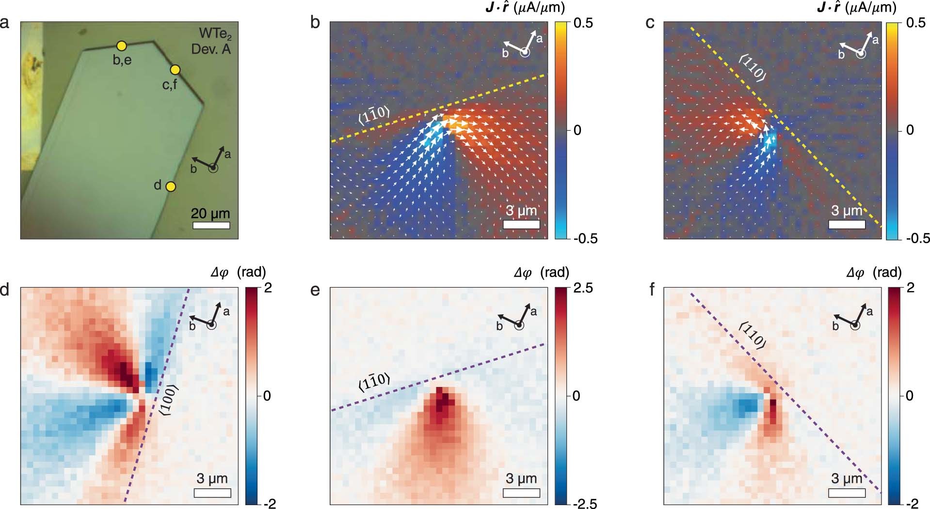 Extended Data Fig. 6: PCFM imaging of edge photocurrent in WTe2 Device A.