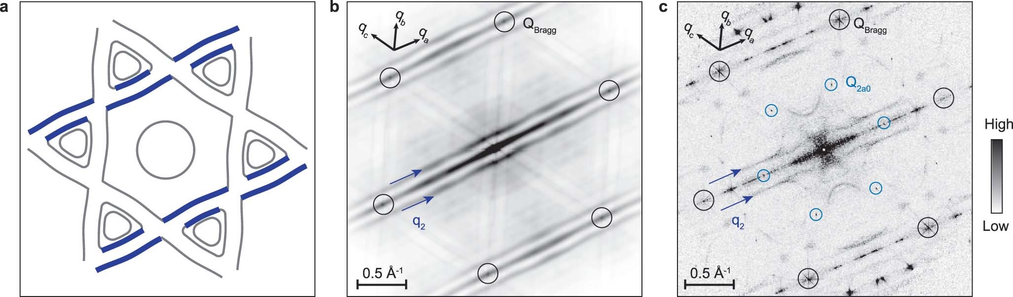 Extended Data Fig. 2