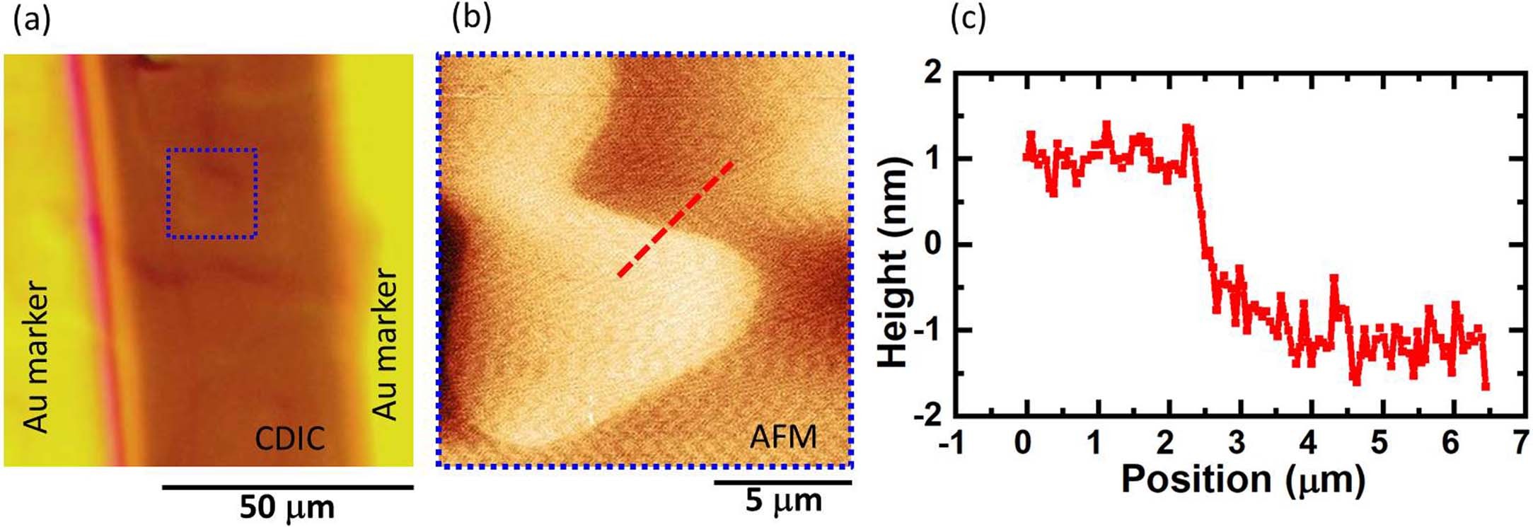 Extended Data Fig. 1