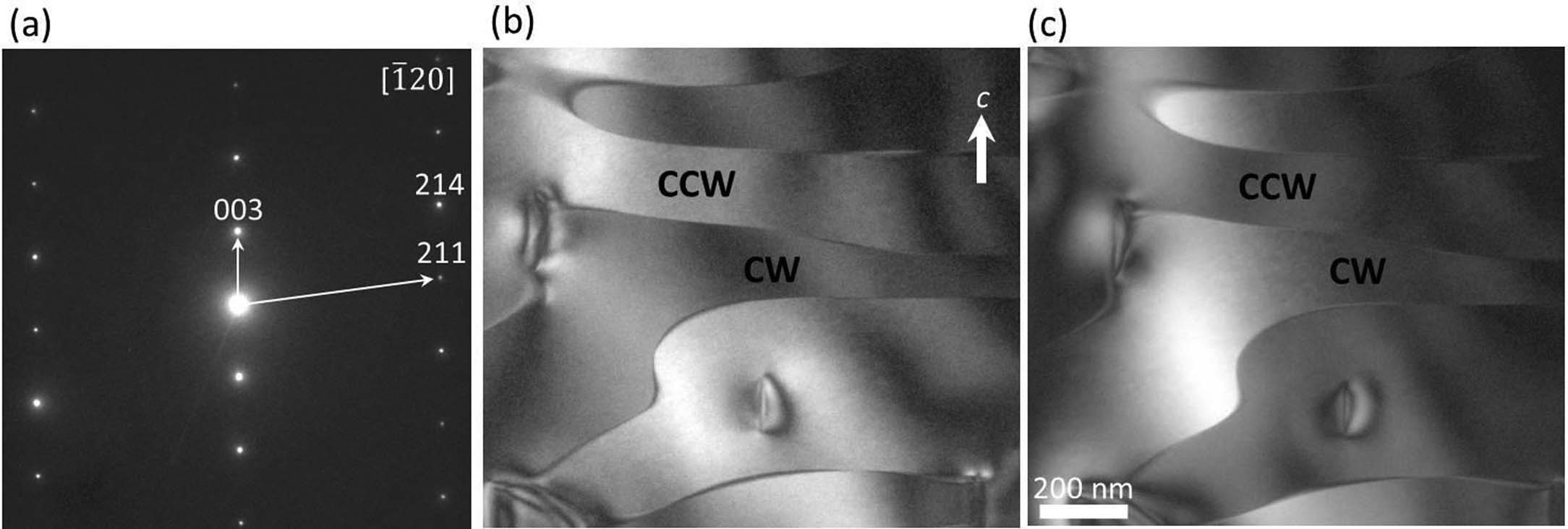 Extended Data Fig. 2