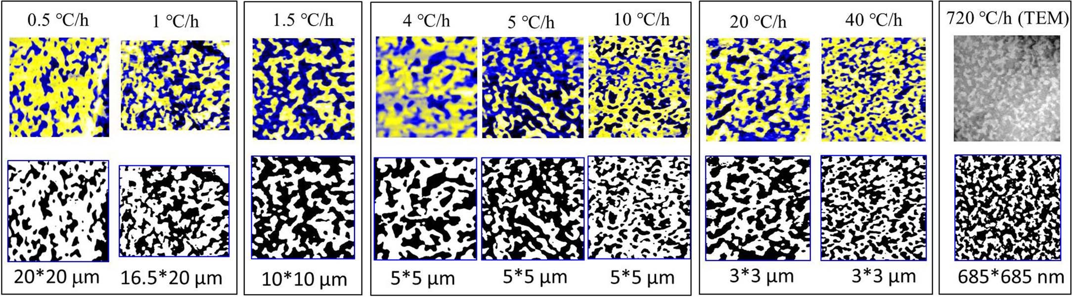Extended Data Fig. 5