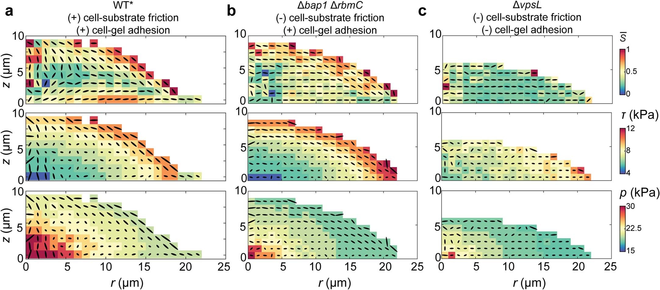 Extended Data Fig. 9