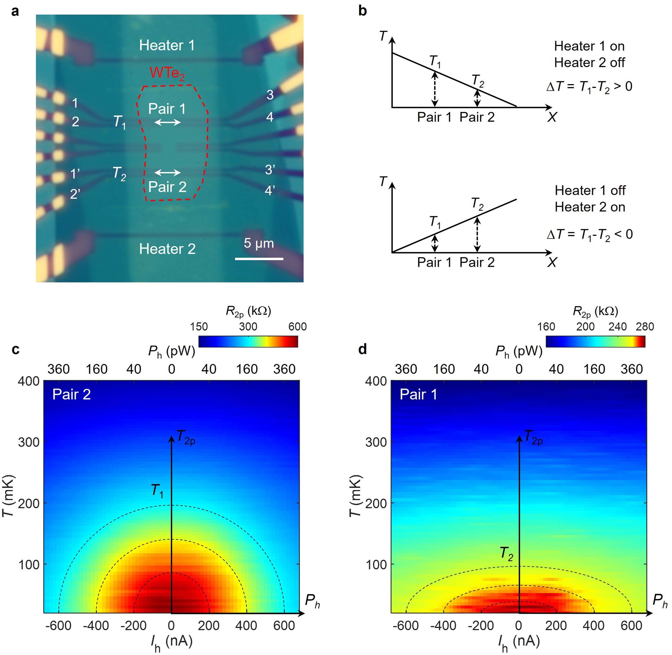 Extended Data Fig. 3