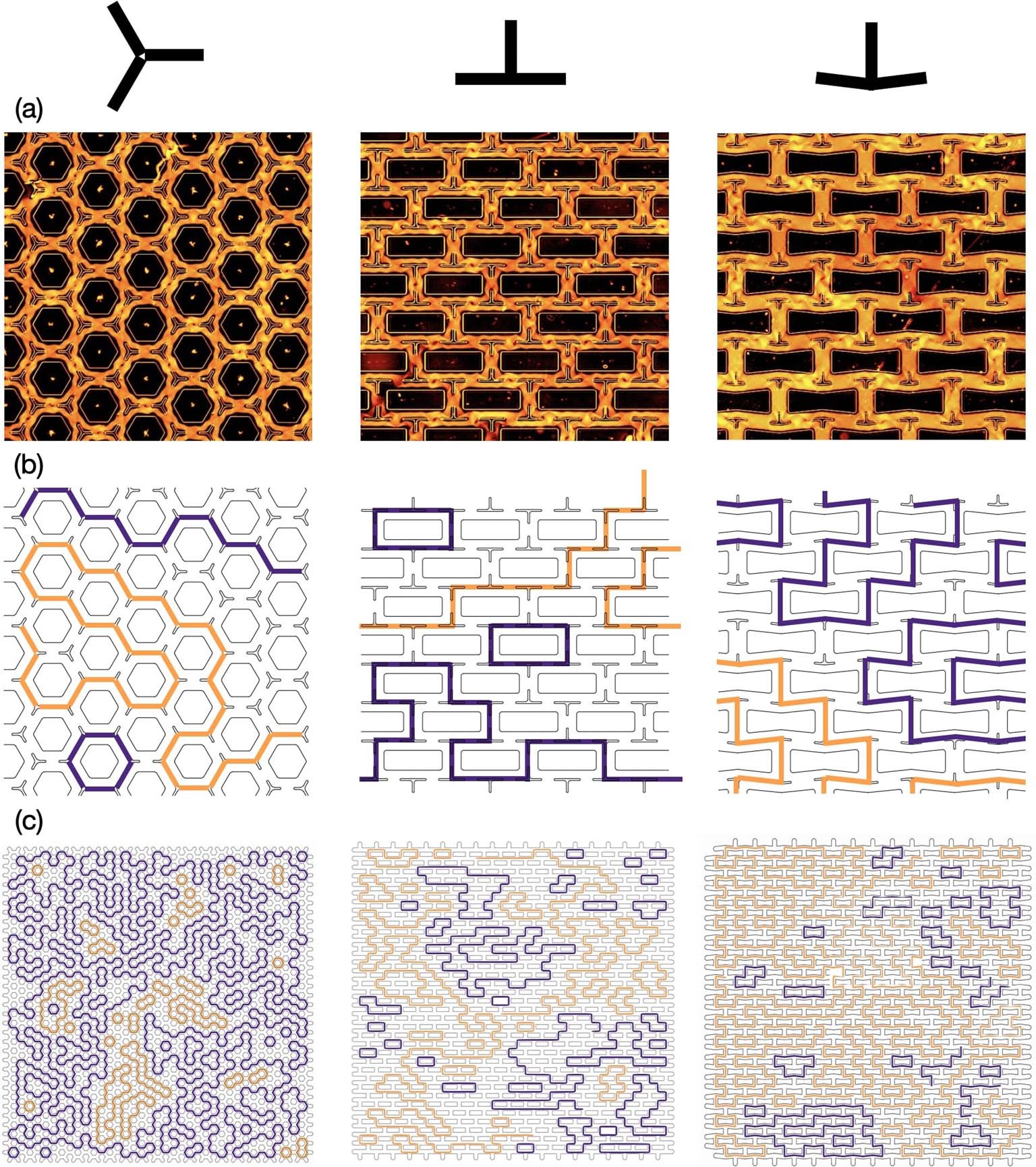 Extended Data Fig. 1