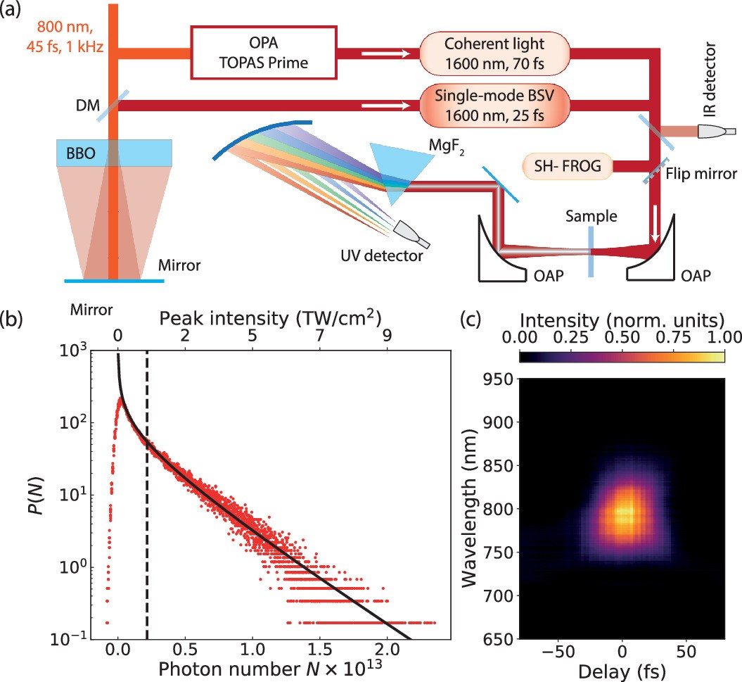Extended Data Fig. 1