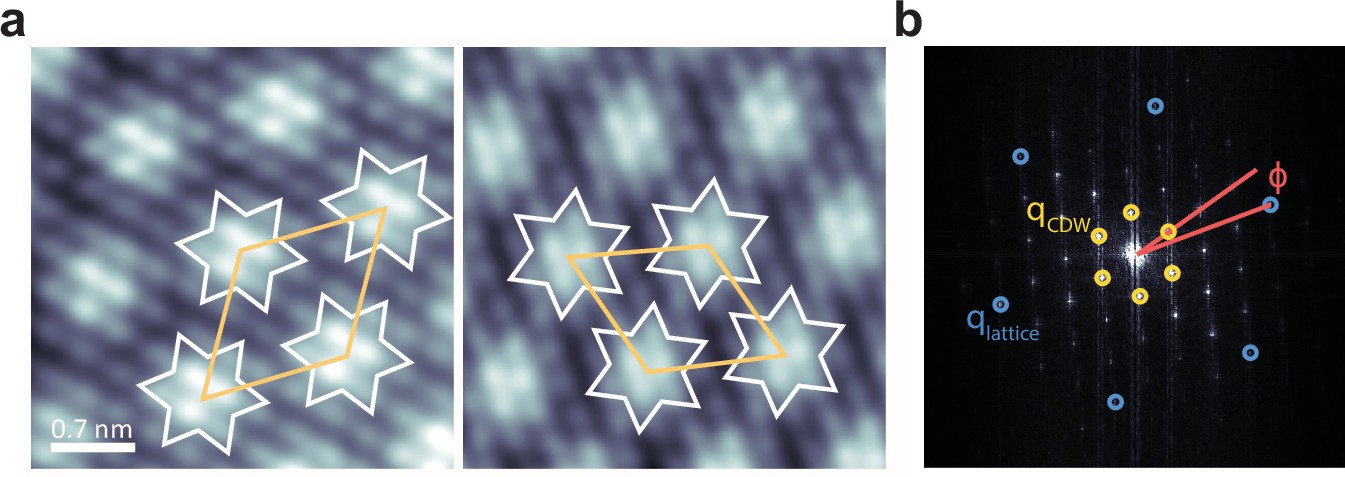 Extended Data Fig. 4