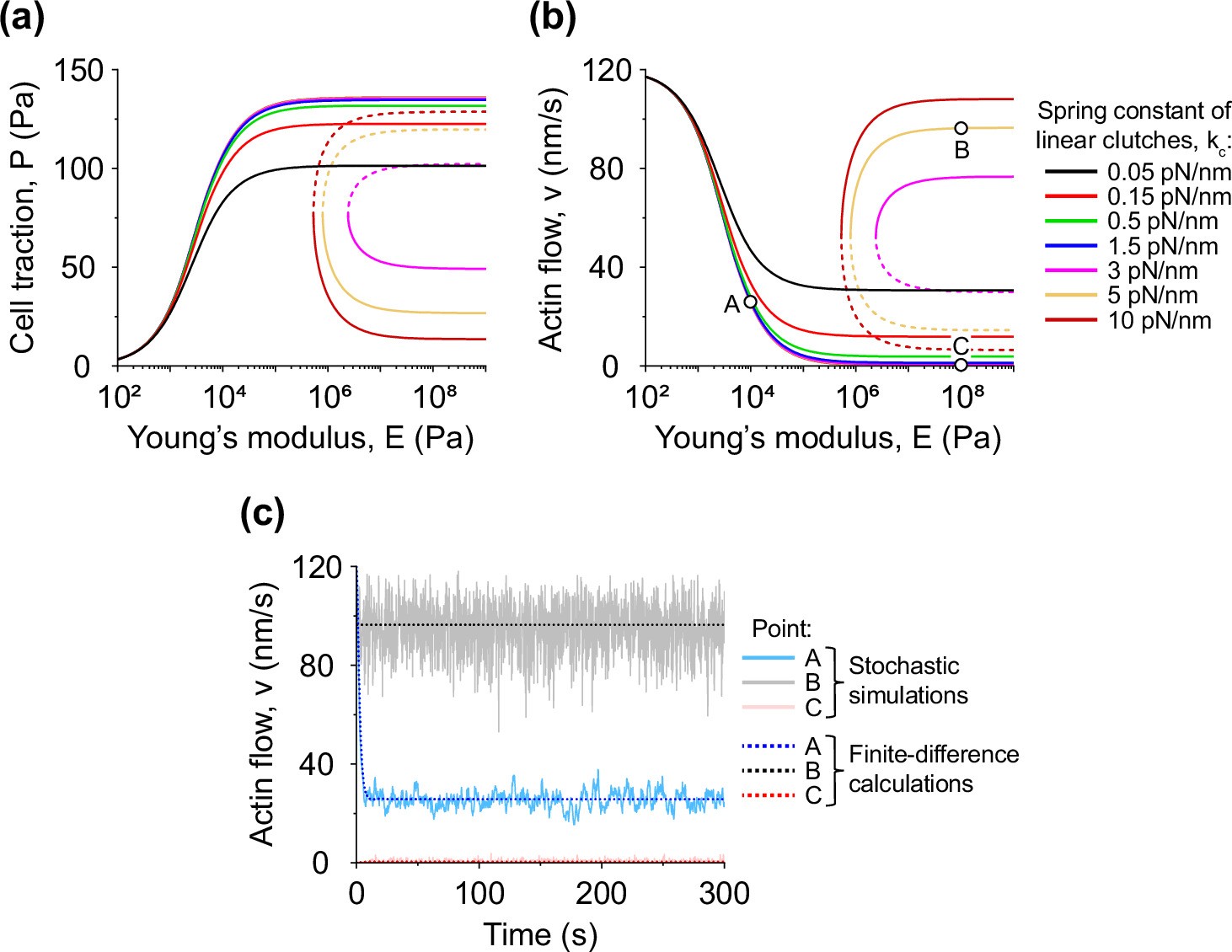 Extended Data Fig. 3: Effect of the elasticity of the intracellular part of molecular clutches on cell adhesion.
