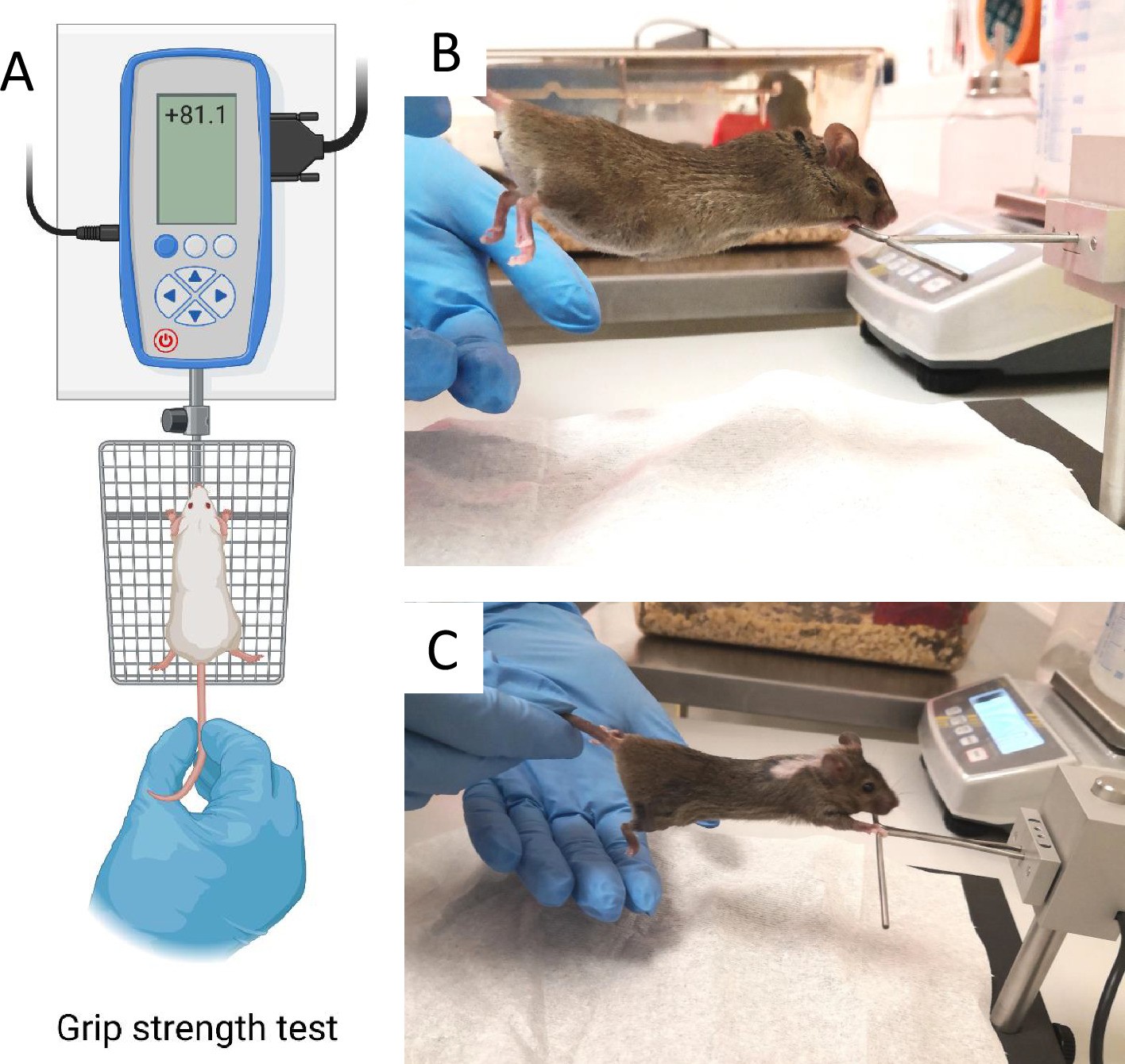 Extended Data Fig. 8