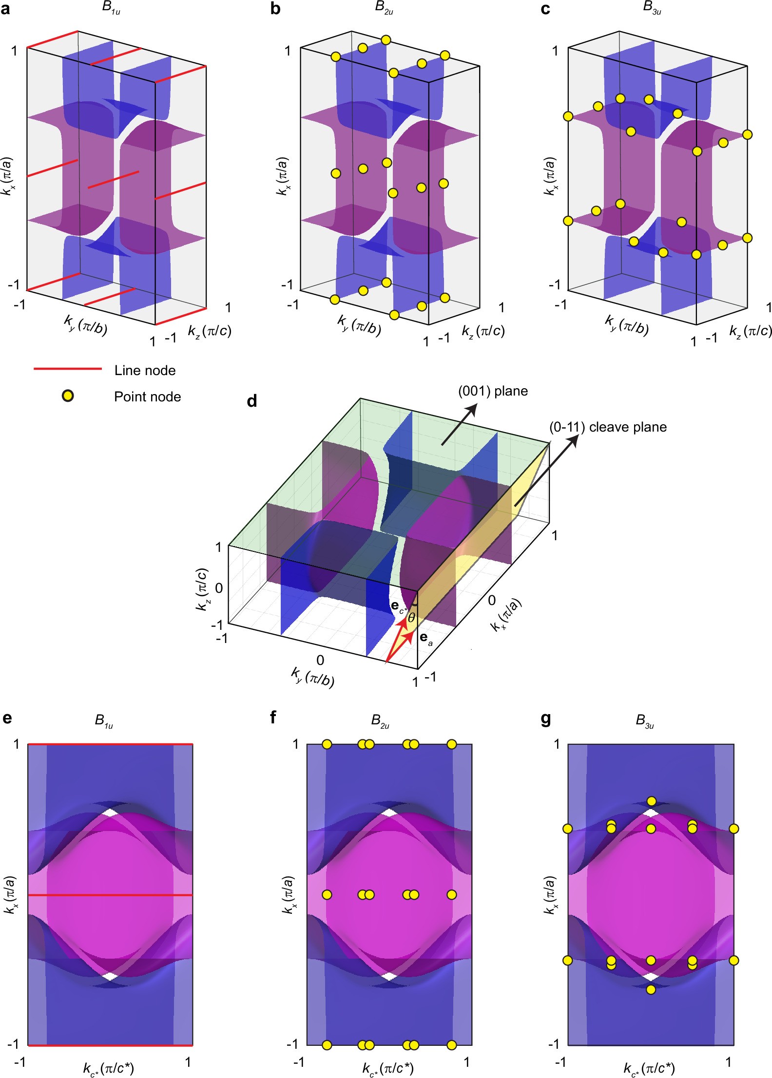 Extended Data Fig. 1: Projection of Fermi surfaces and gap nodes in B1u, B2u, and B3u.