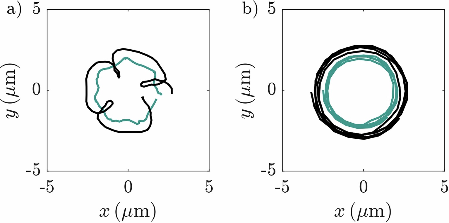Extended Data Fig. 1: Trajectory of the droplet’s tip (black line) and center of mass (green line) for the (a) unsynchronized and (b) synchronized state.