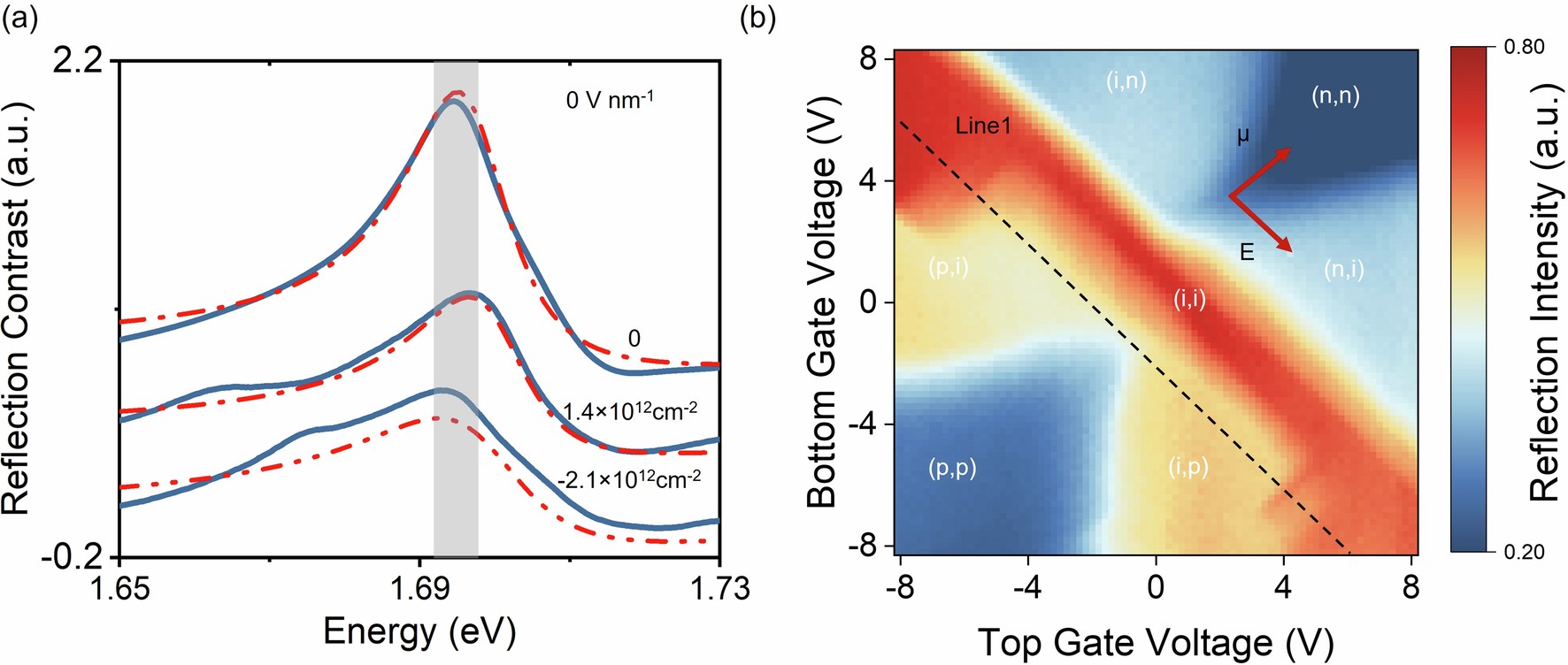 Extended Data Fig. 3: Reflectivity spectra of quasicrystal D1 and 2D map of 1S exciton intensity.