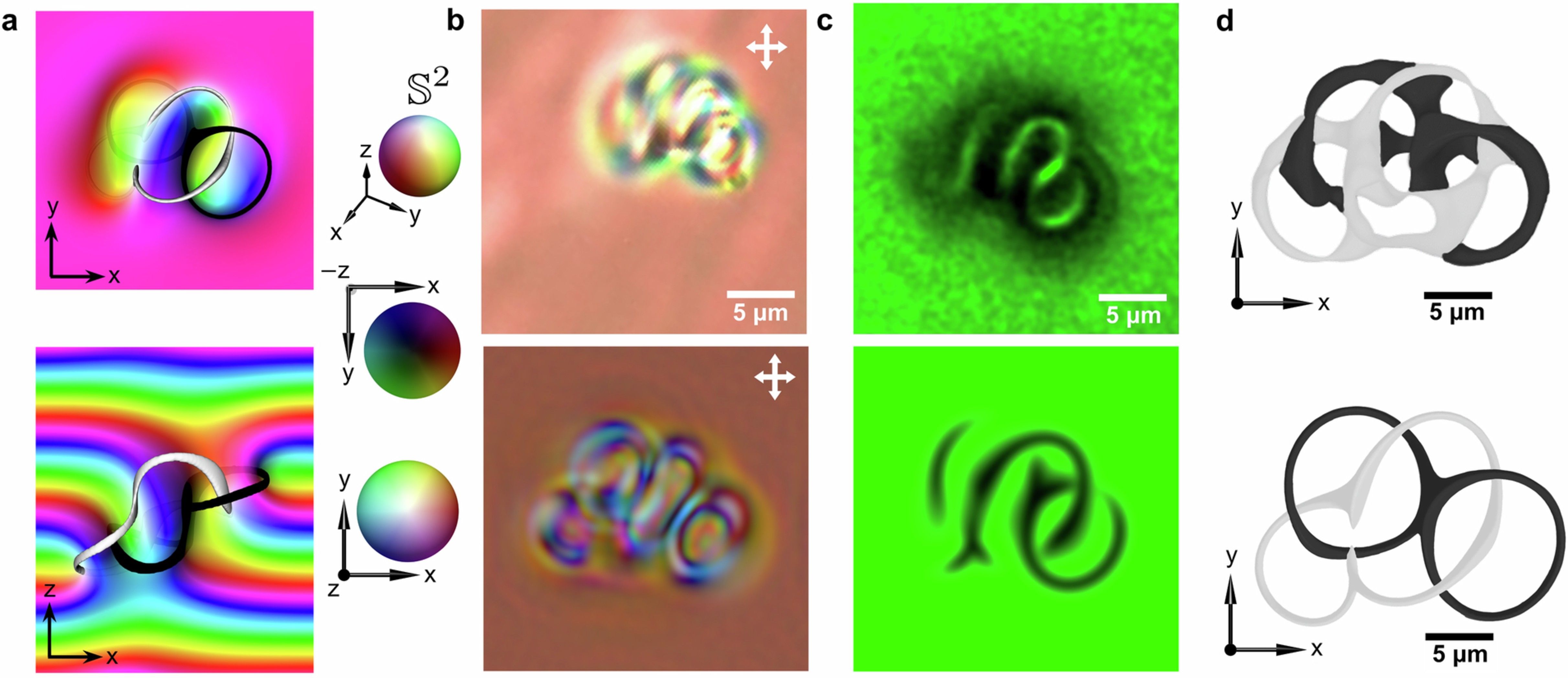 Extended Data Fig. 4: Structure of fused heliknotons reconstructed numerically and experimentally.