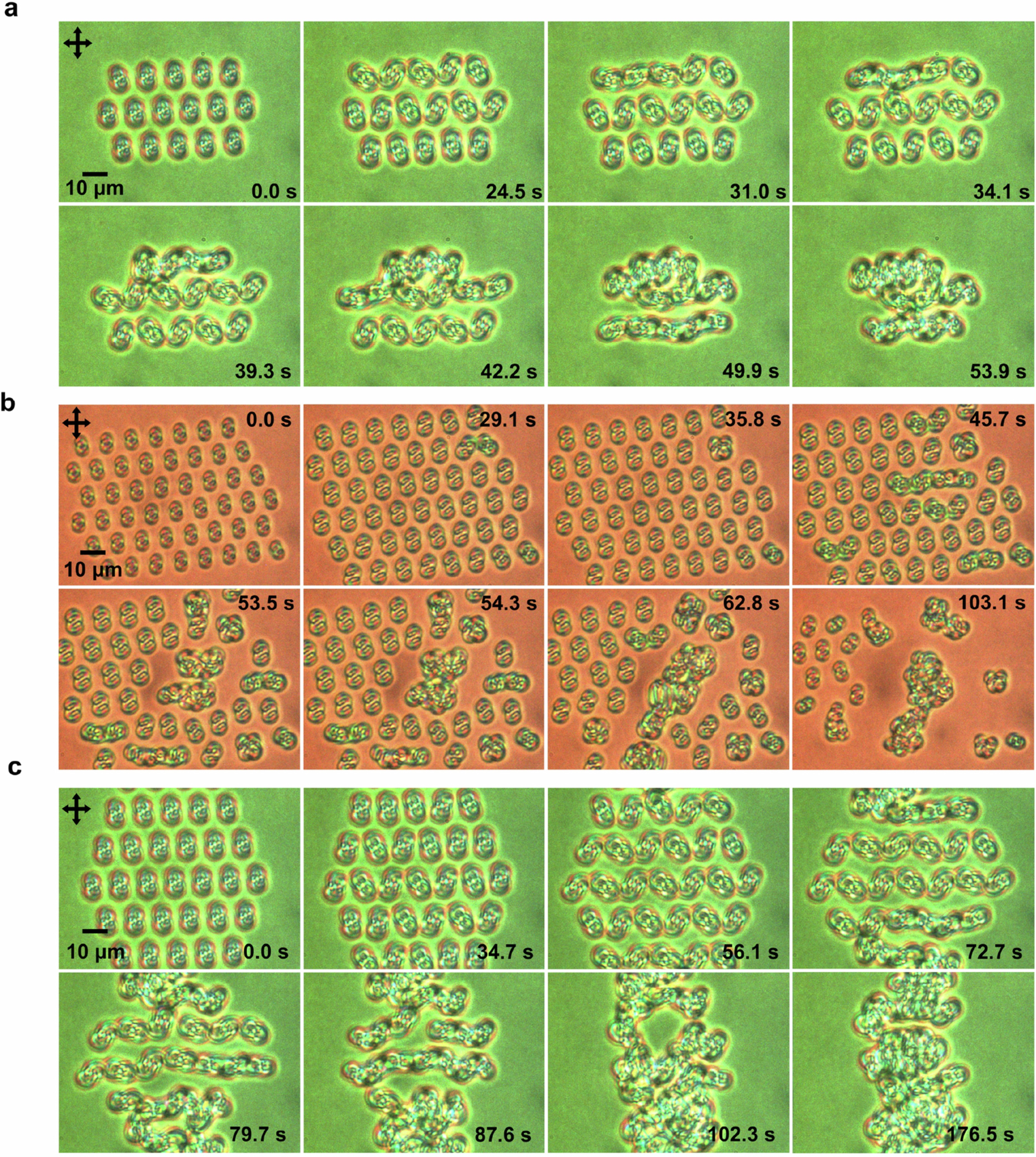 Extended Data Fig. 2: Fusion of complex knots from a lattice of elementary heliknotons.