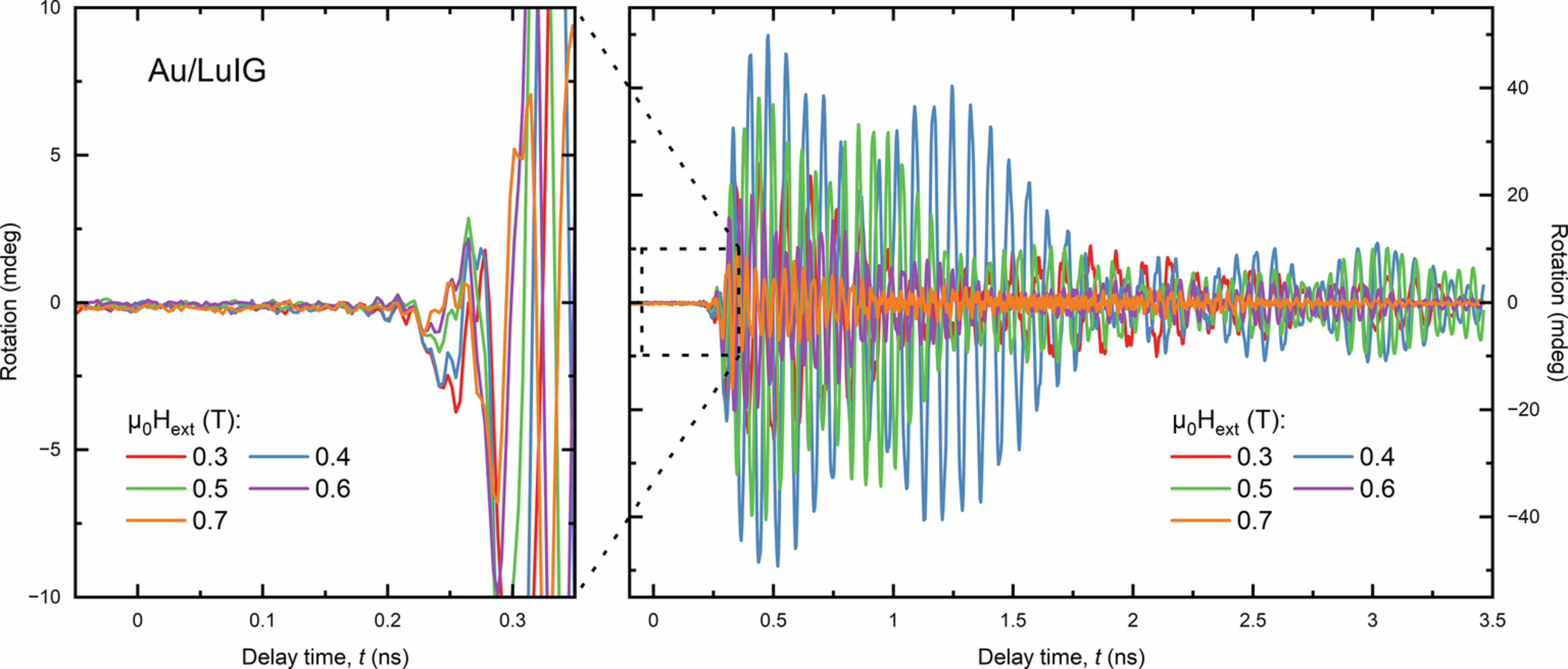 Extended Data Fig. 1: Experimental time traces of 450 nm probe pulses polarization rotation under different Hext obtained when the pump is focused onto the Au/LuIG.