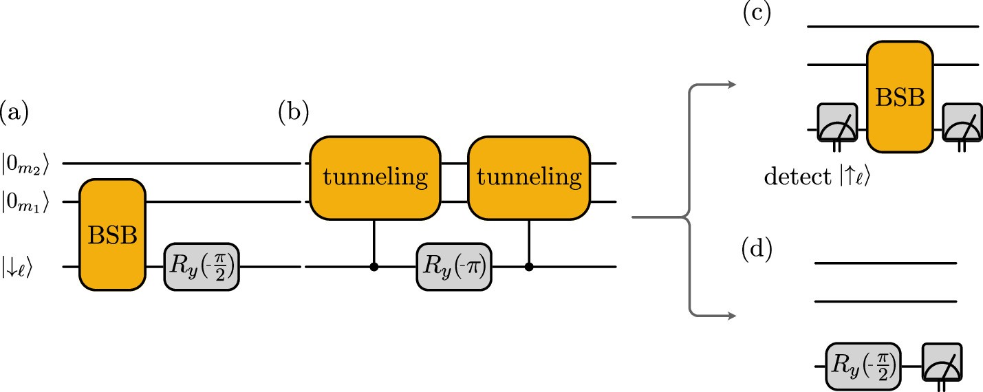 Single-link preparation, spin-echo-protected gauge evolution and conditional measurement sequence.