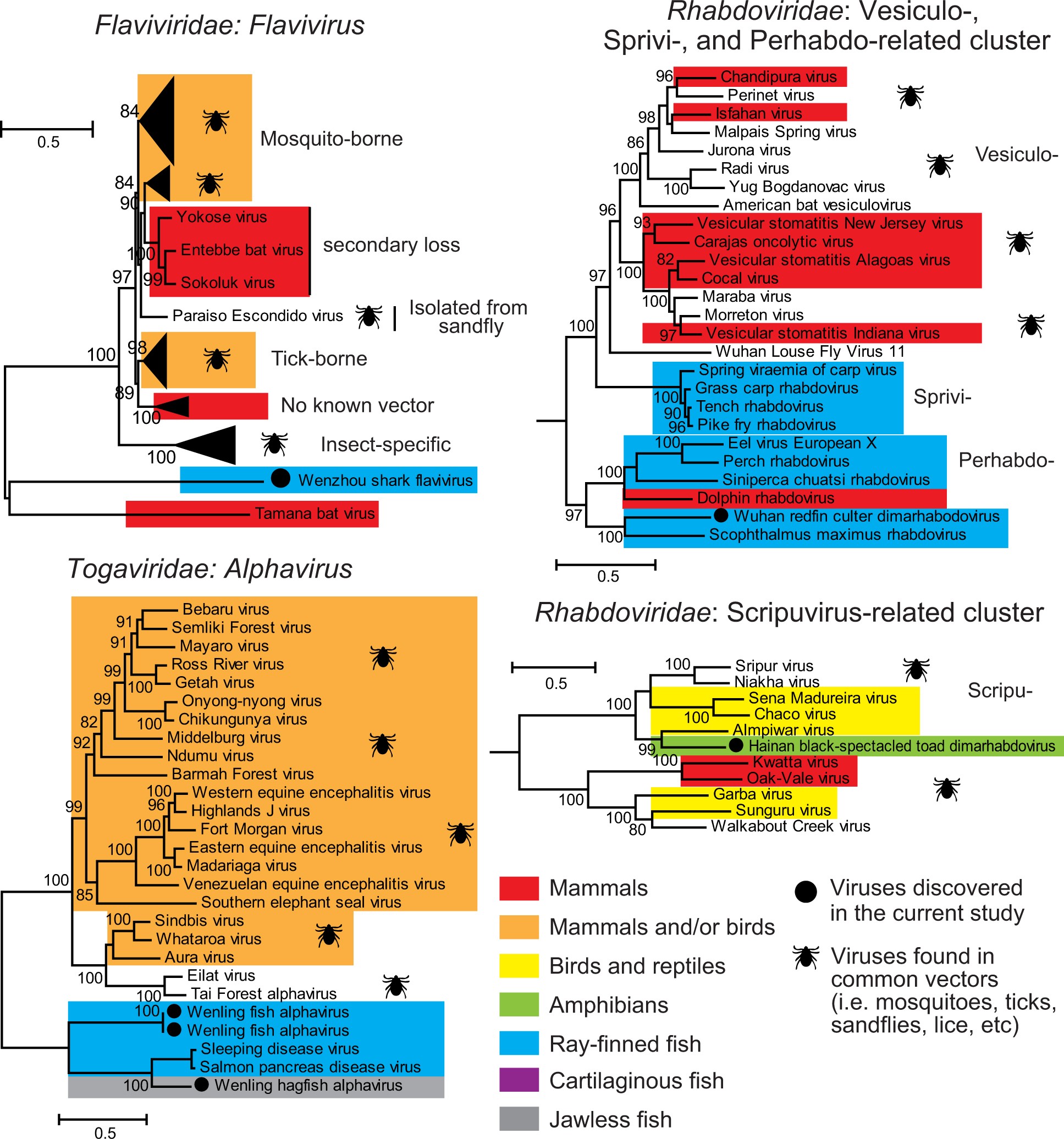 Extended Data Fig. 4: Evolutionary history of four groups of vector-borne RNA virus.