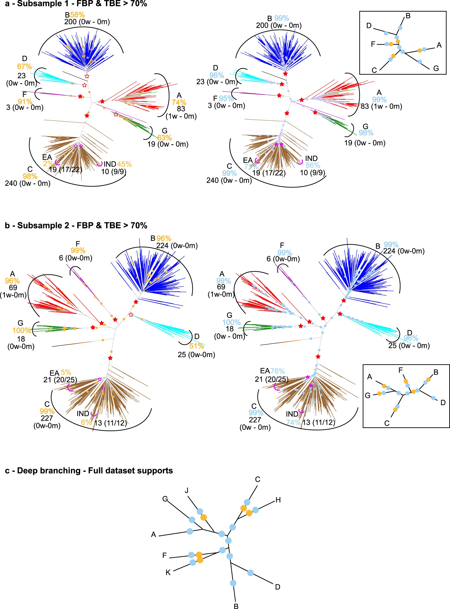 Extended Data Fig. 5: Subtype deep branching and comparison of FBP and TBE using medium-sized HIV datasets.
