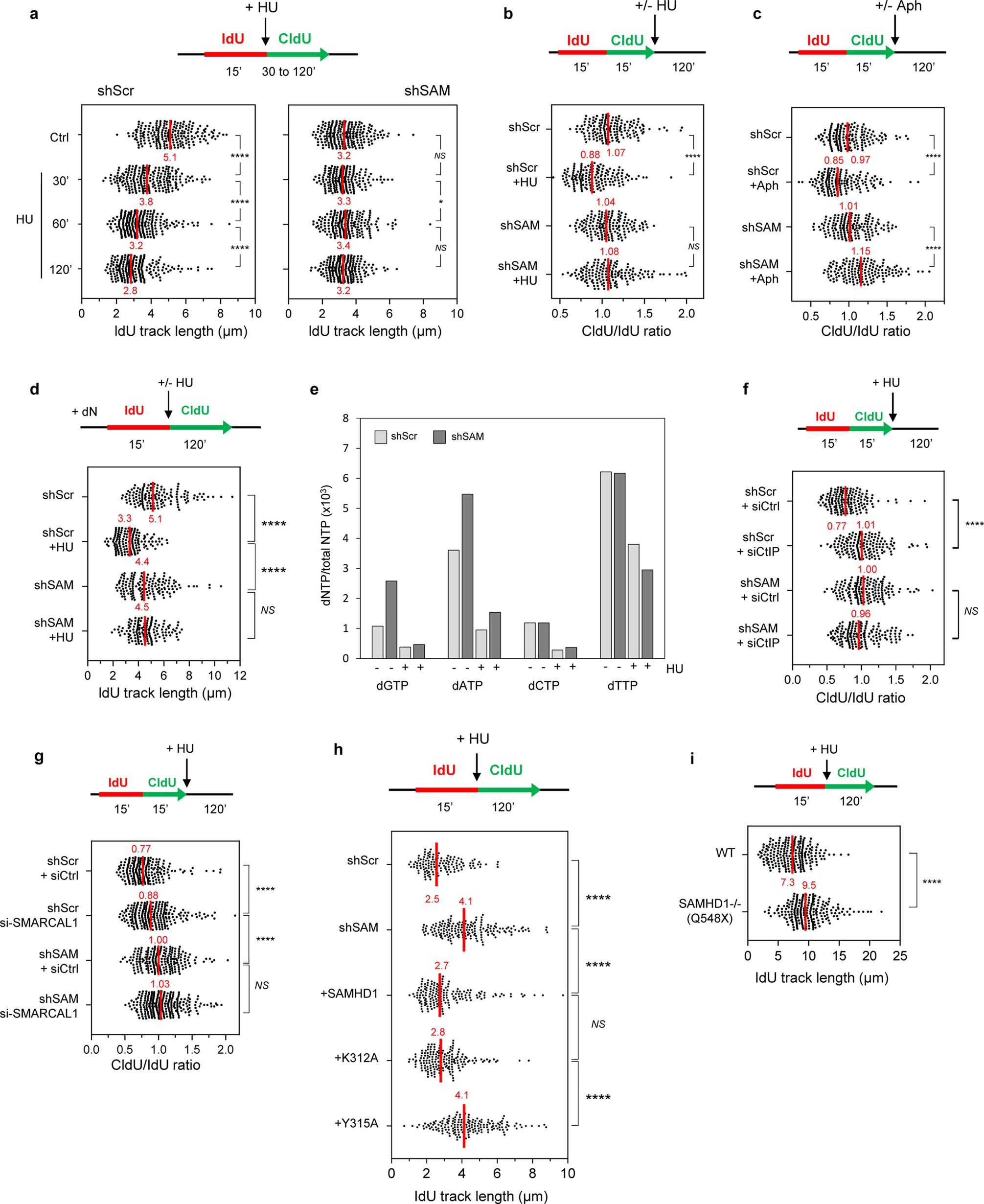 Extended Data Fig. 5