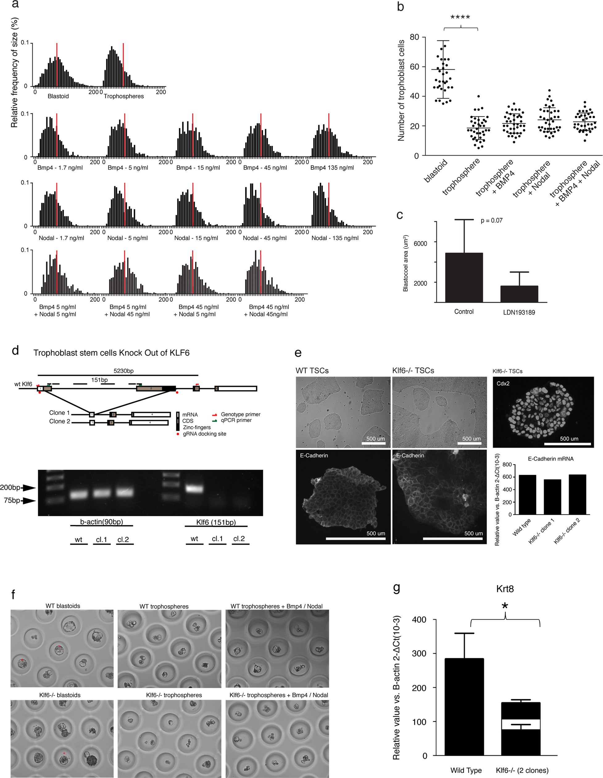 Extended Data Fig. 10