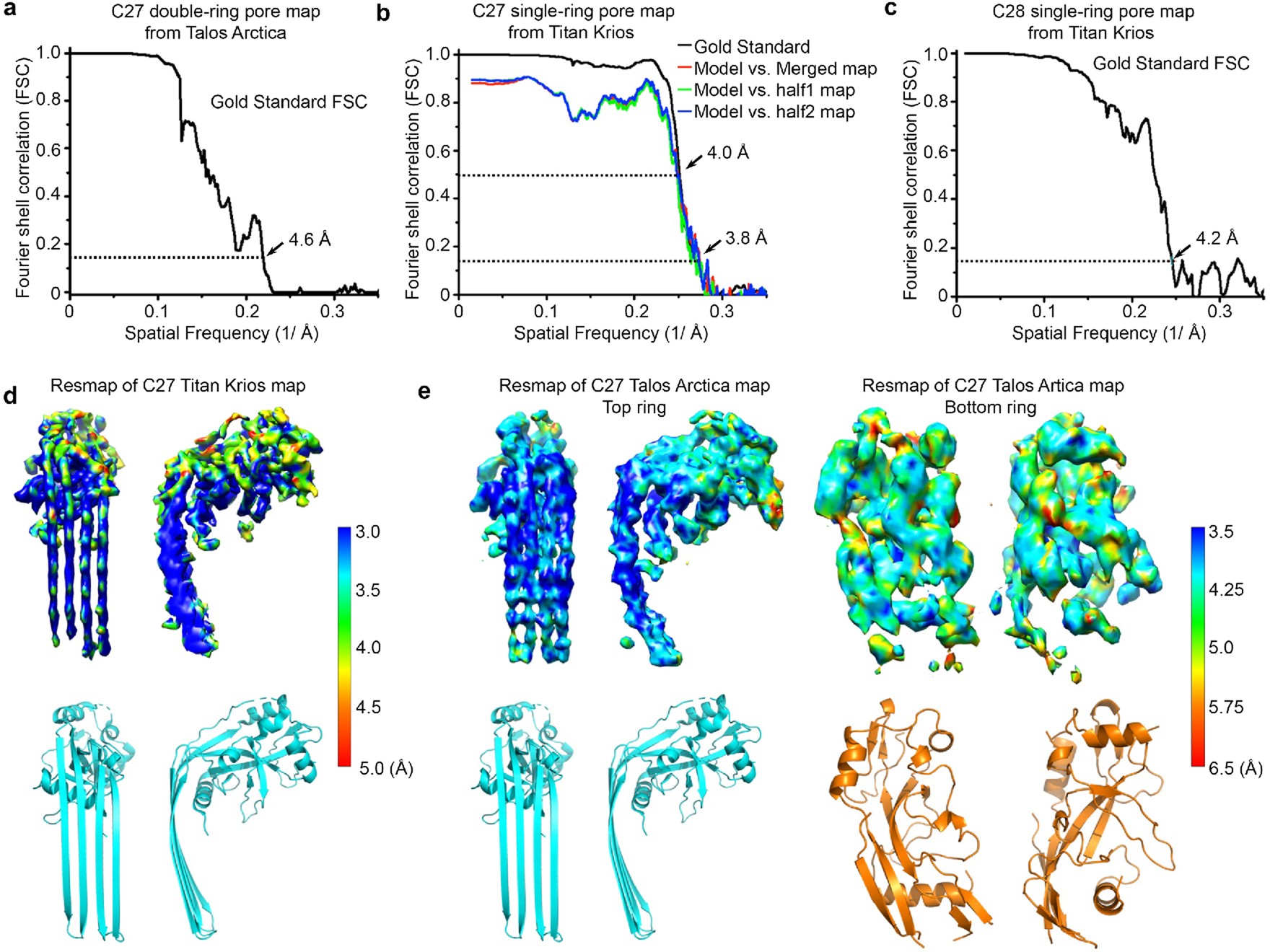 Extended Data Fig. 2: Cryo-EM analysis of double- and single-ring GSDMA3 pores.