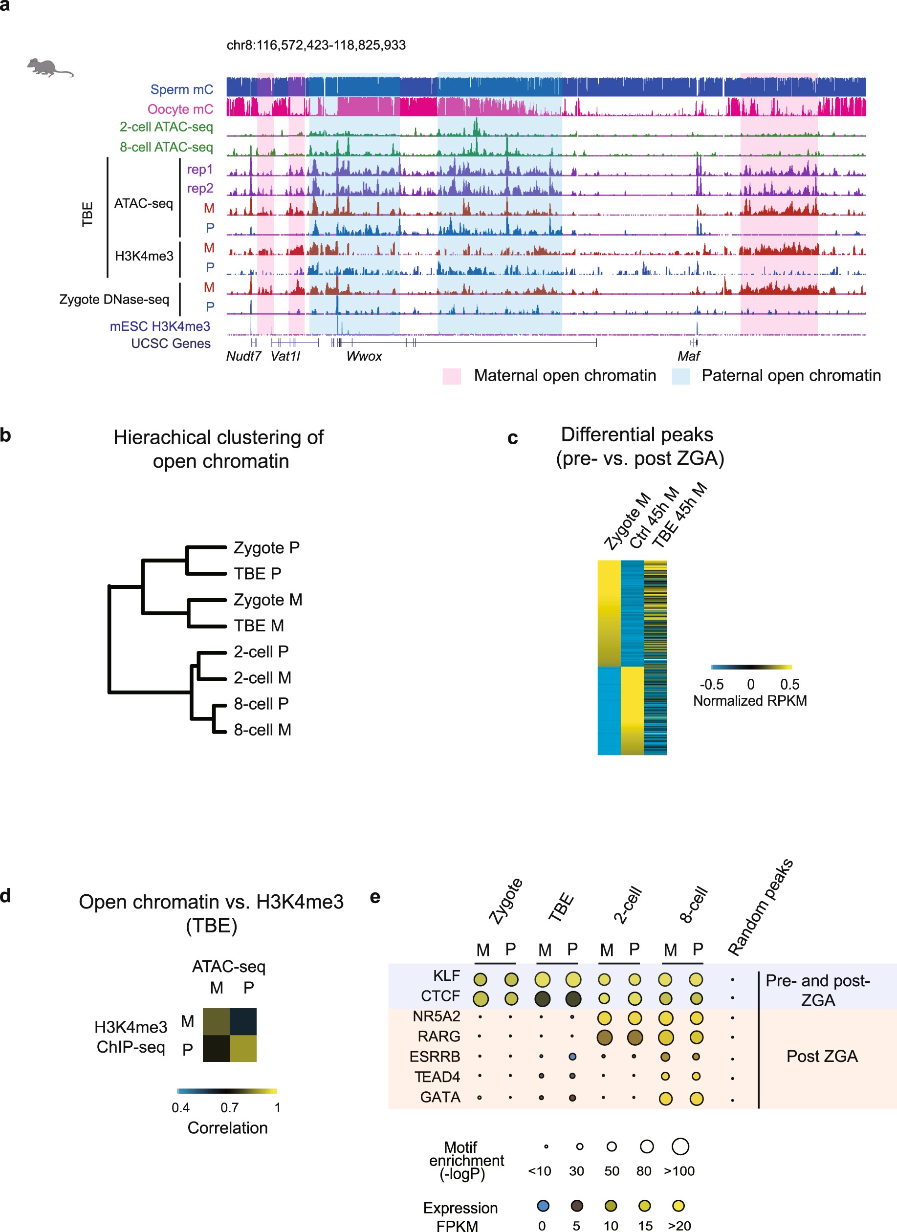 Extended Data Fig. 10
