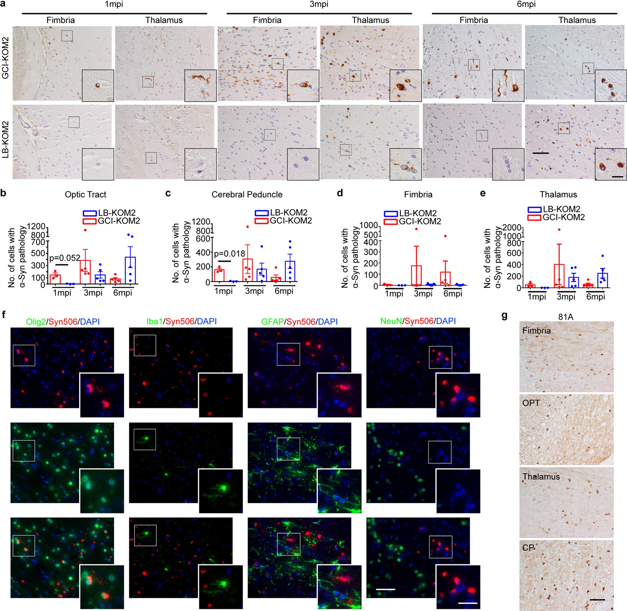 Extended Data Fig. 7