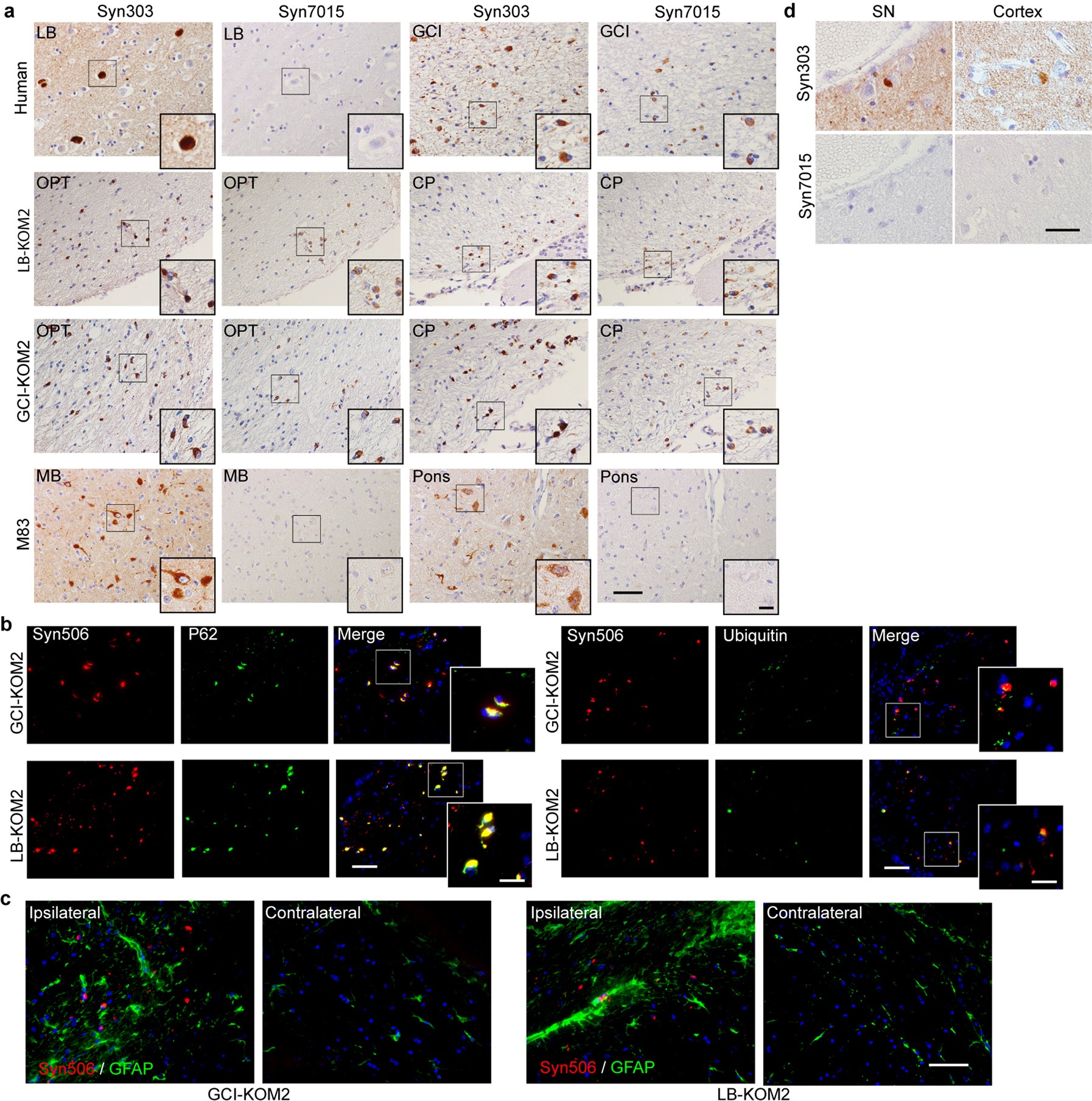 Extended Data Fig. 9